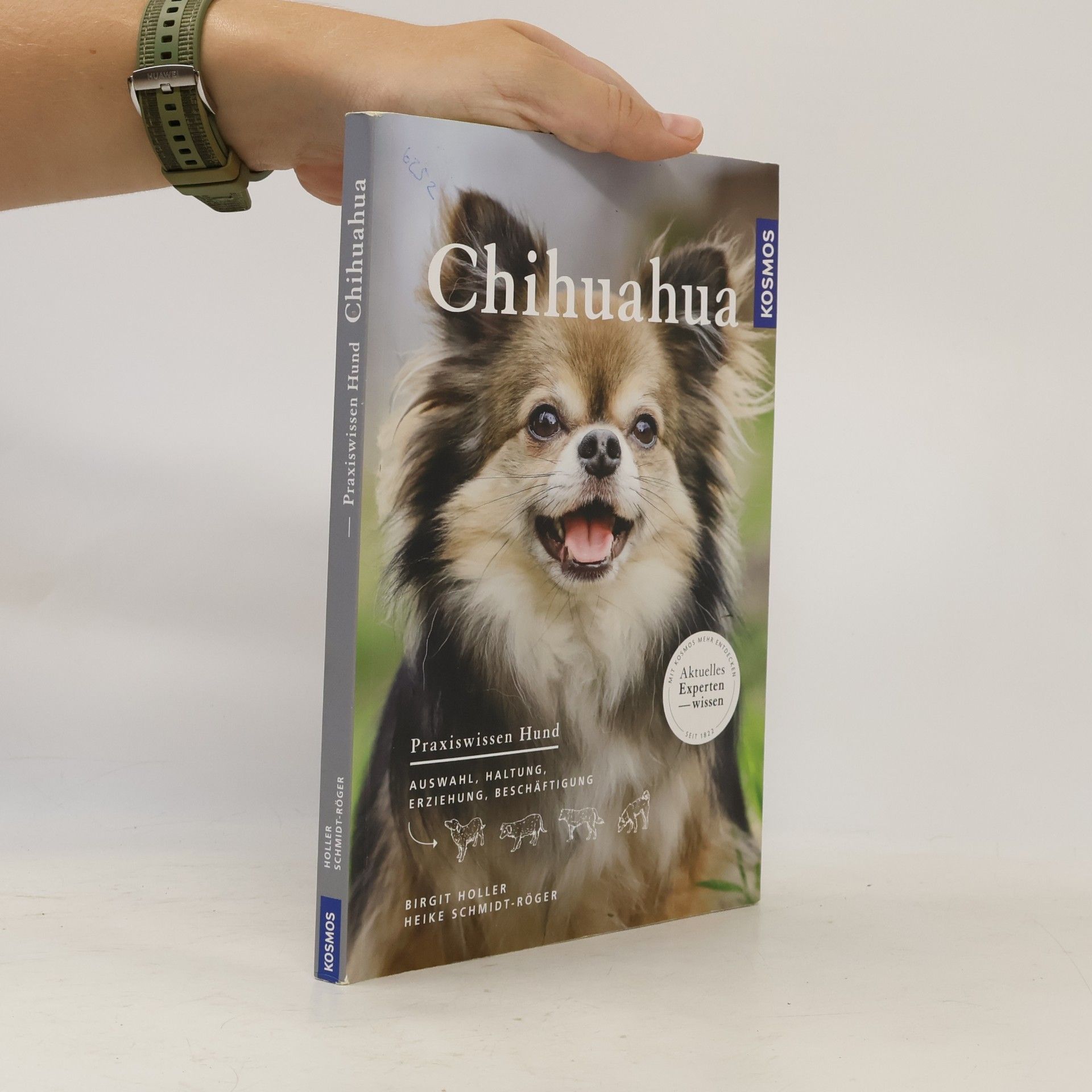 Chihuahua