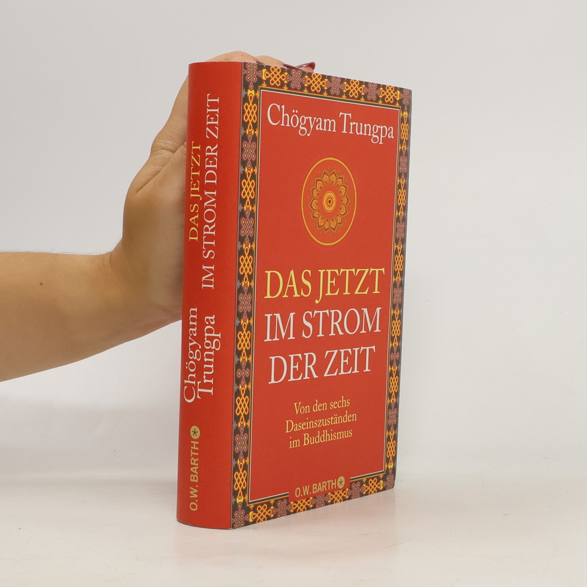 Chögyam Trungpa Das Jetzt im Strom der Zeit