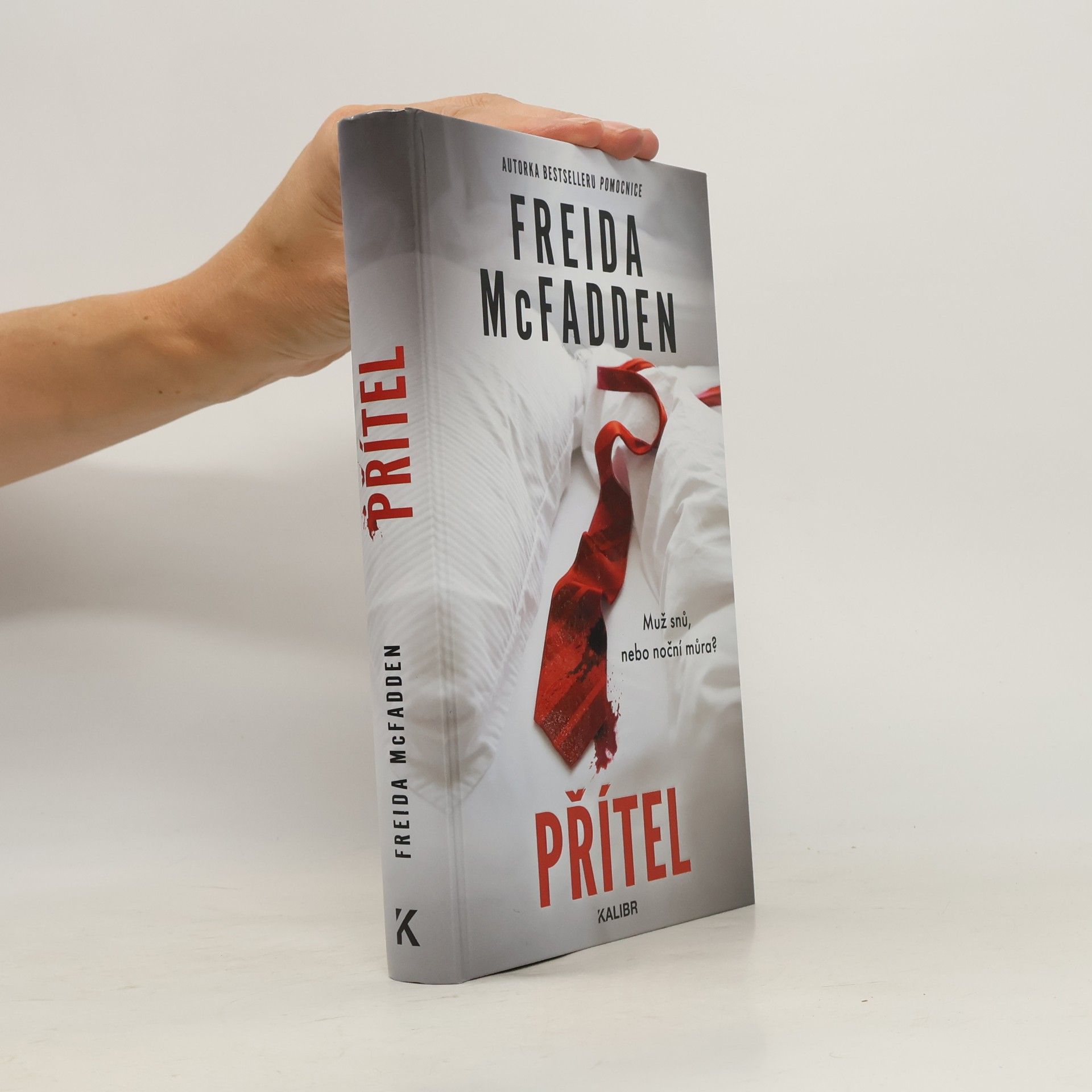 Freida McFadden Přítel