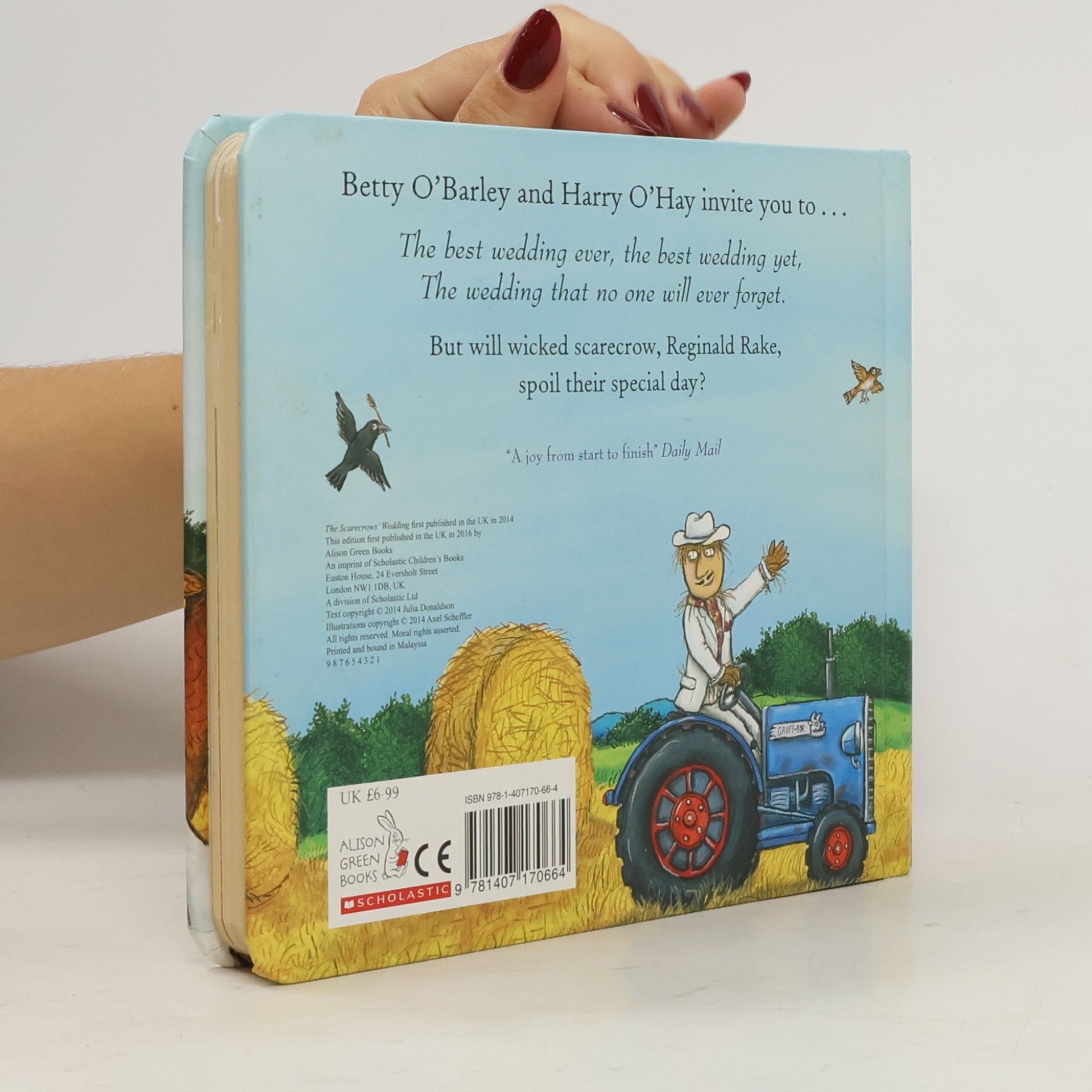 Julia Donaldson The Scarecrows' Wedding