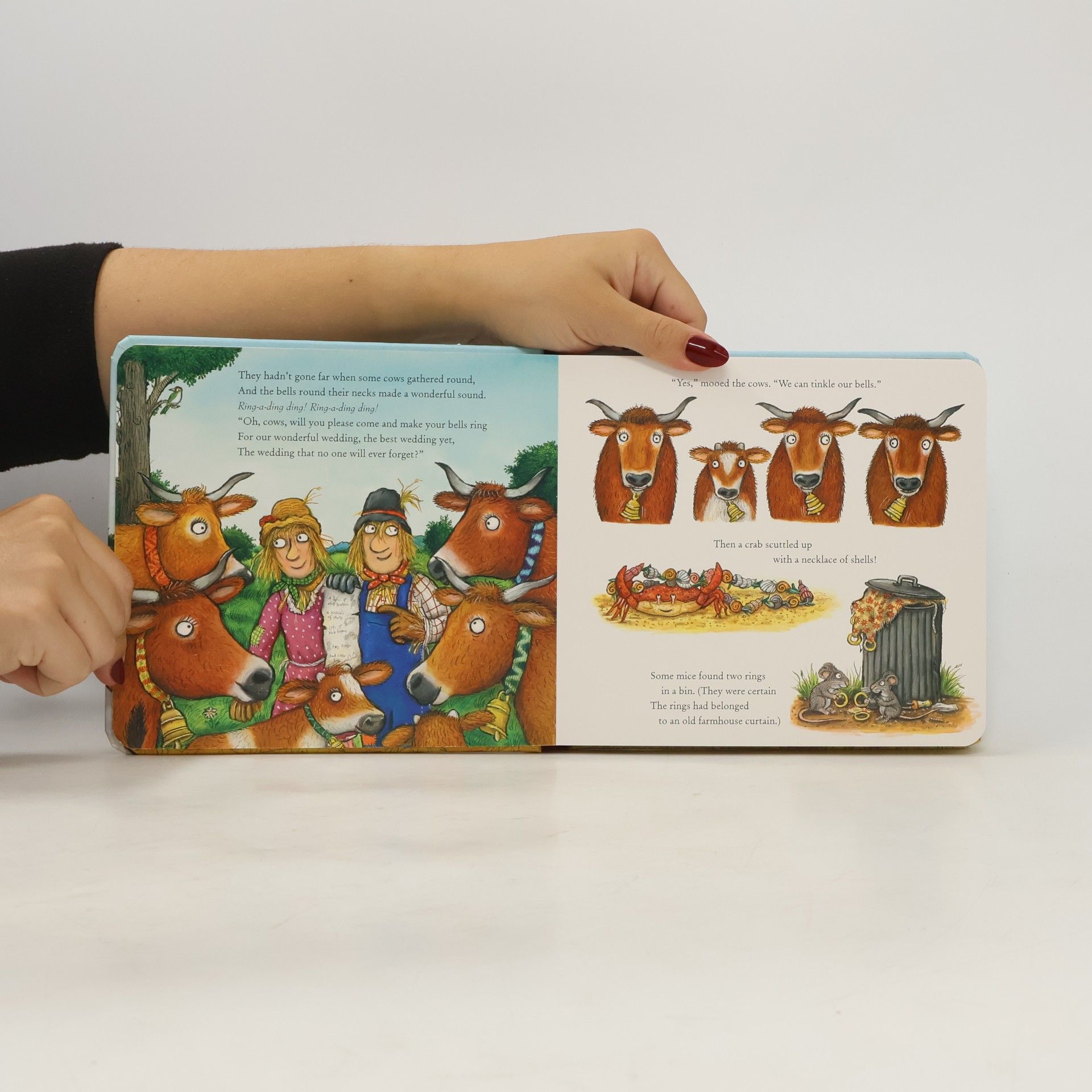 Julia Donaldson The Scarecrows' Wedding