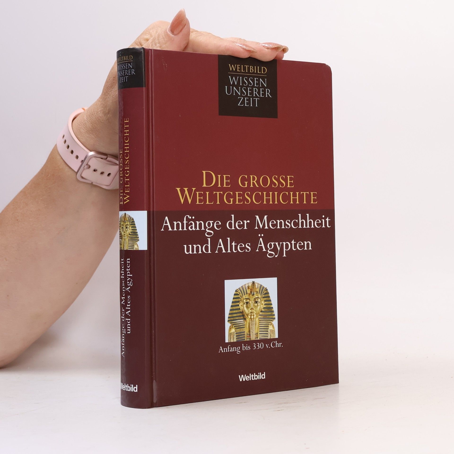 Various authors Die grosse Weltgeschichte: Anfänge der Menschheit und Altes Ägypten