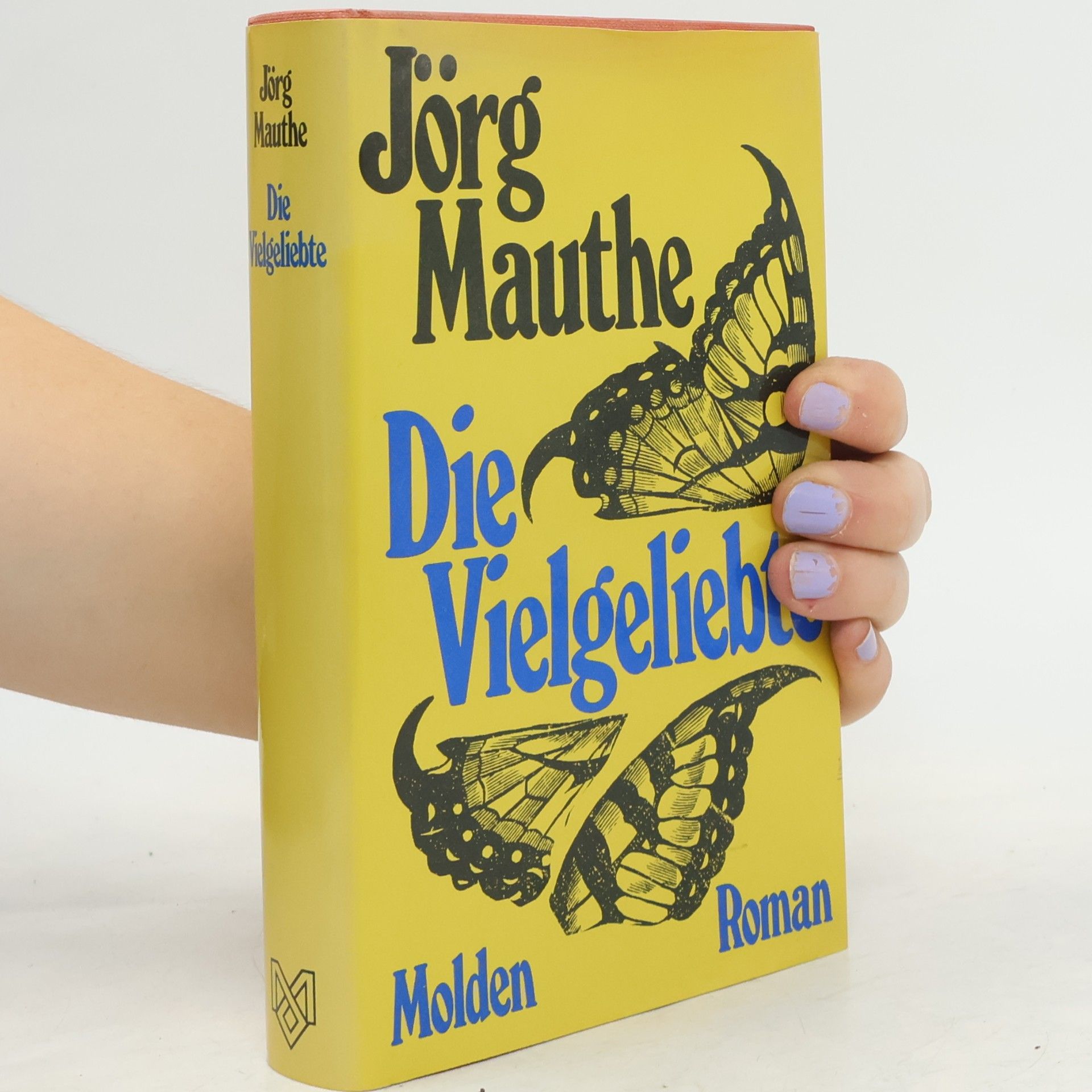 Jörg Mauthe Die Vielgeliebte