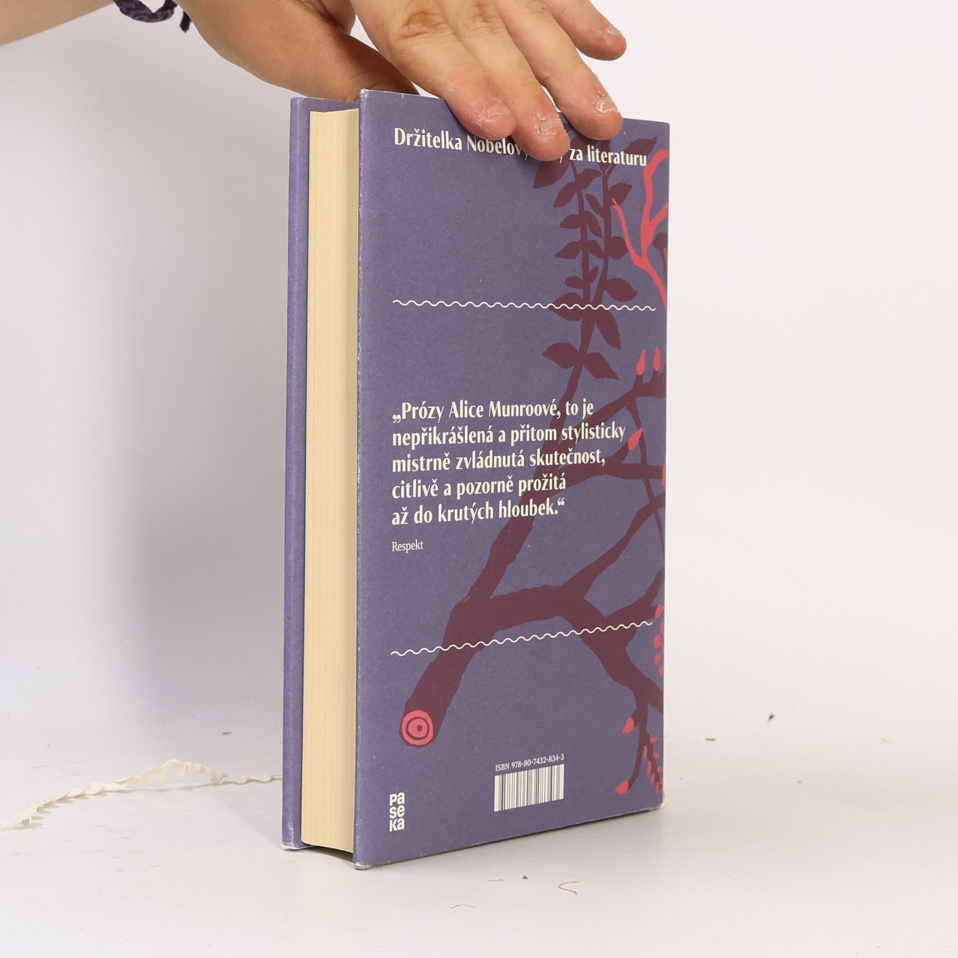 Alice Munro Veřejná tajemství