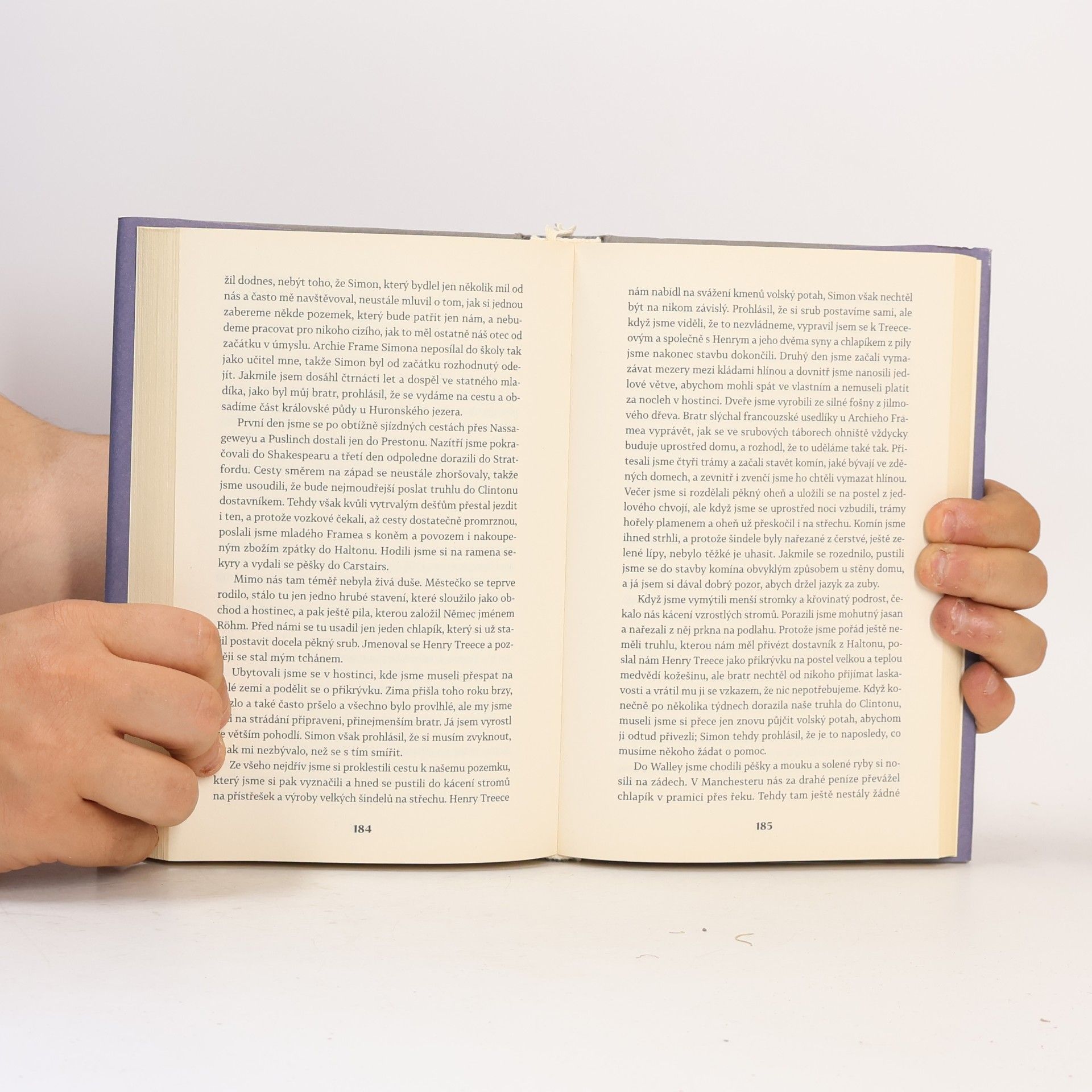 Alice Munro Veřejná tajemství