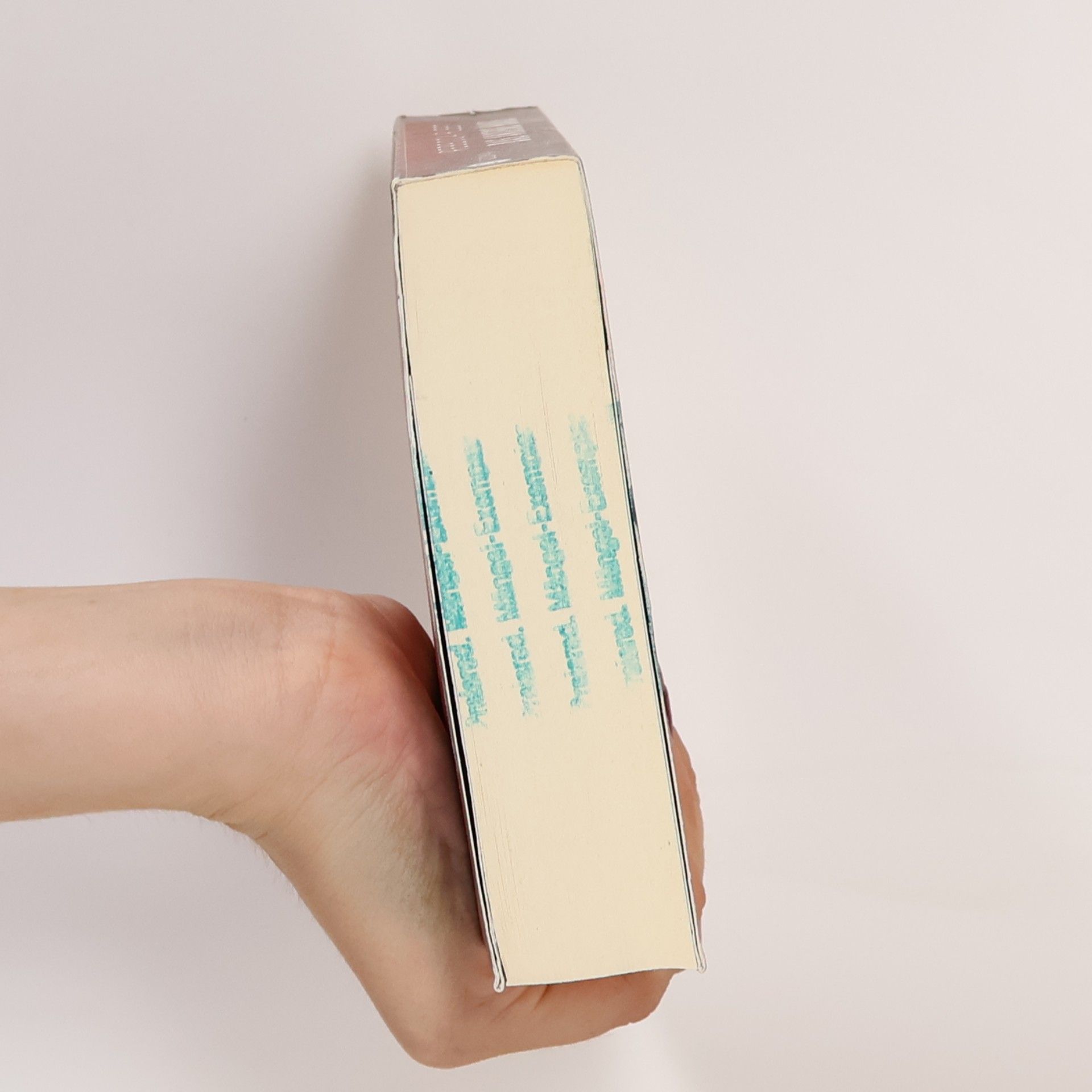 Rebecca Fleet Das andere Haus