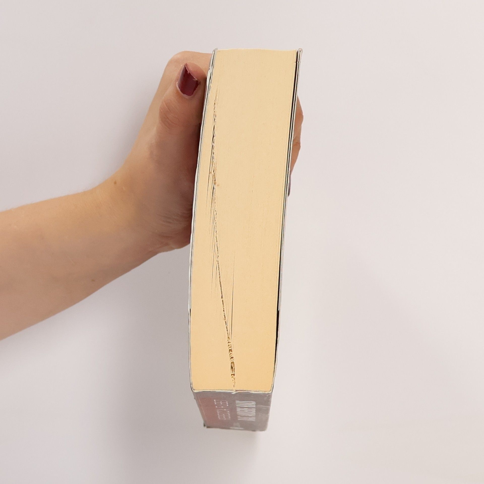 Rebecca Fleet Das andere Haus