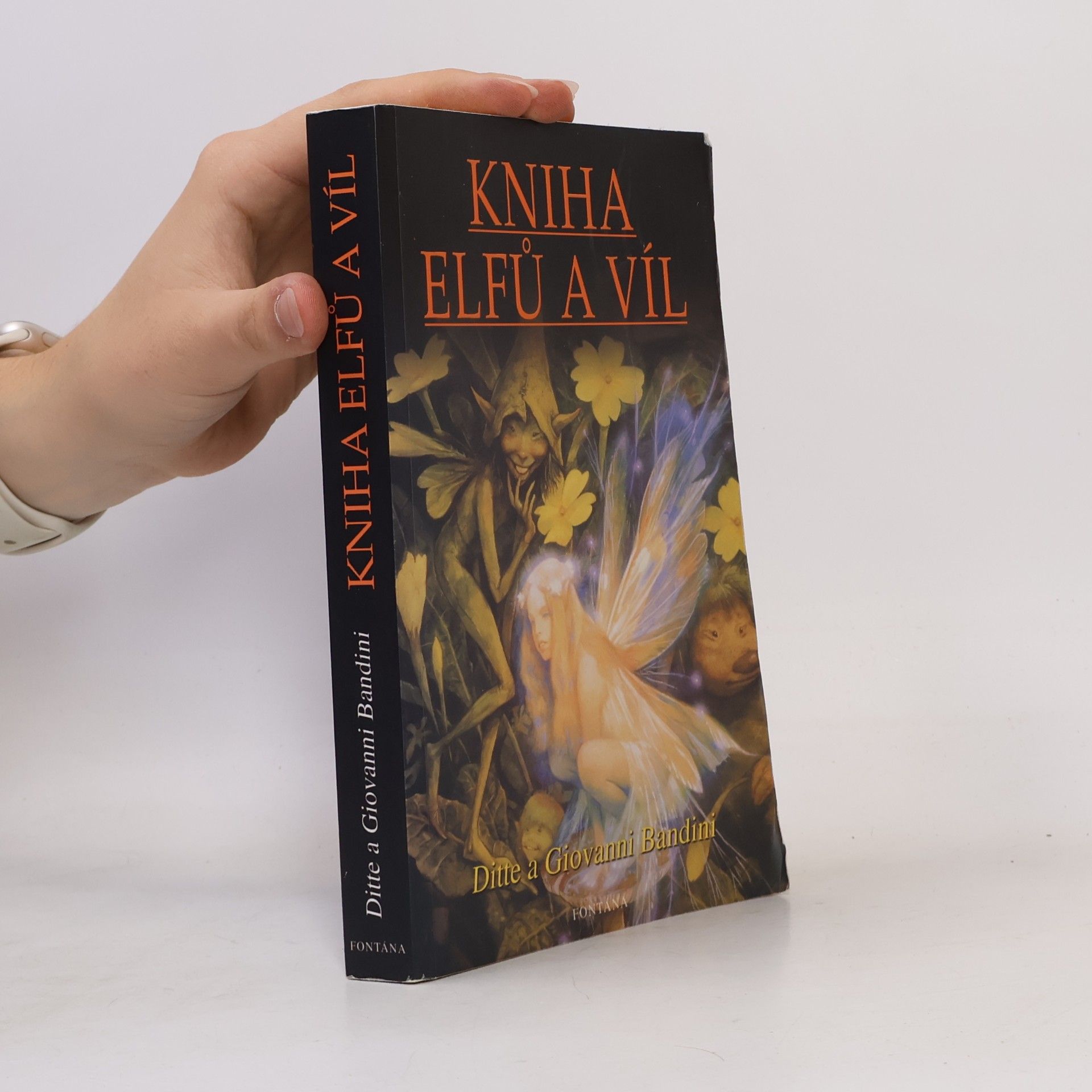 Giovanni Bandini Kniha elfů a víl