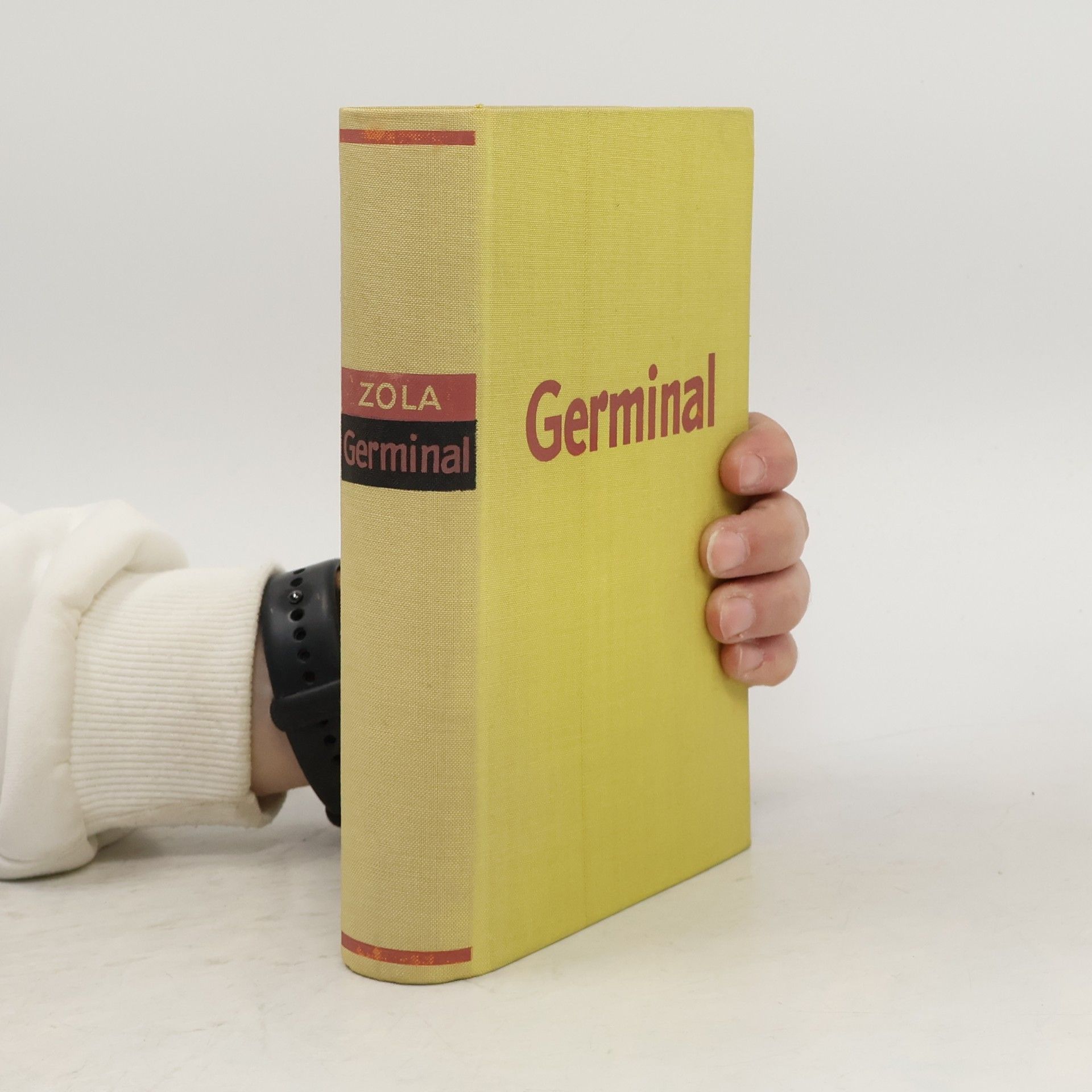 Émile Zola Germinal