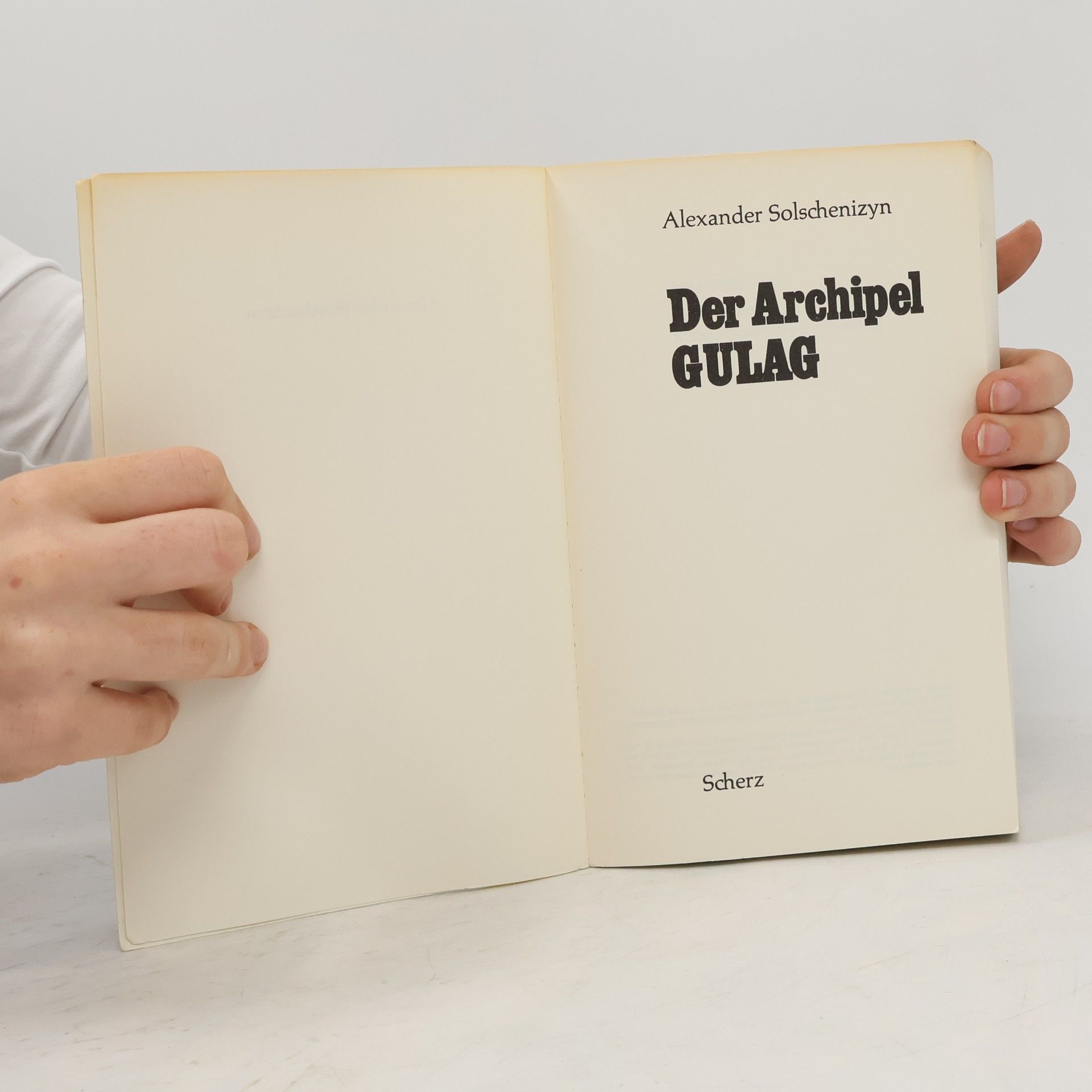 Aleksandr Solzhenitsyn Der Archipel Gulag
