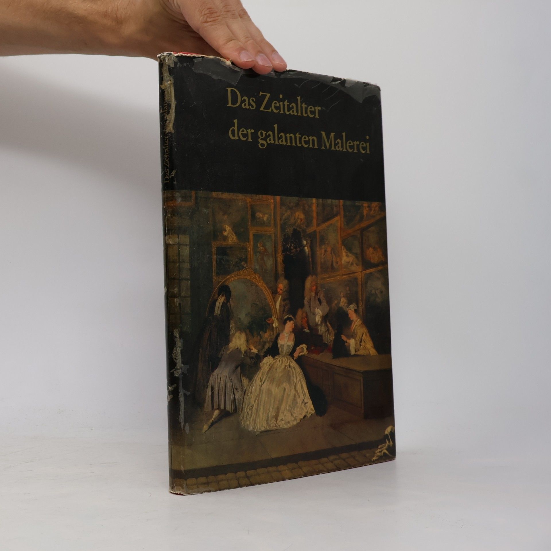 Michael Schwarz Das Zeitalter der galanten Malerei