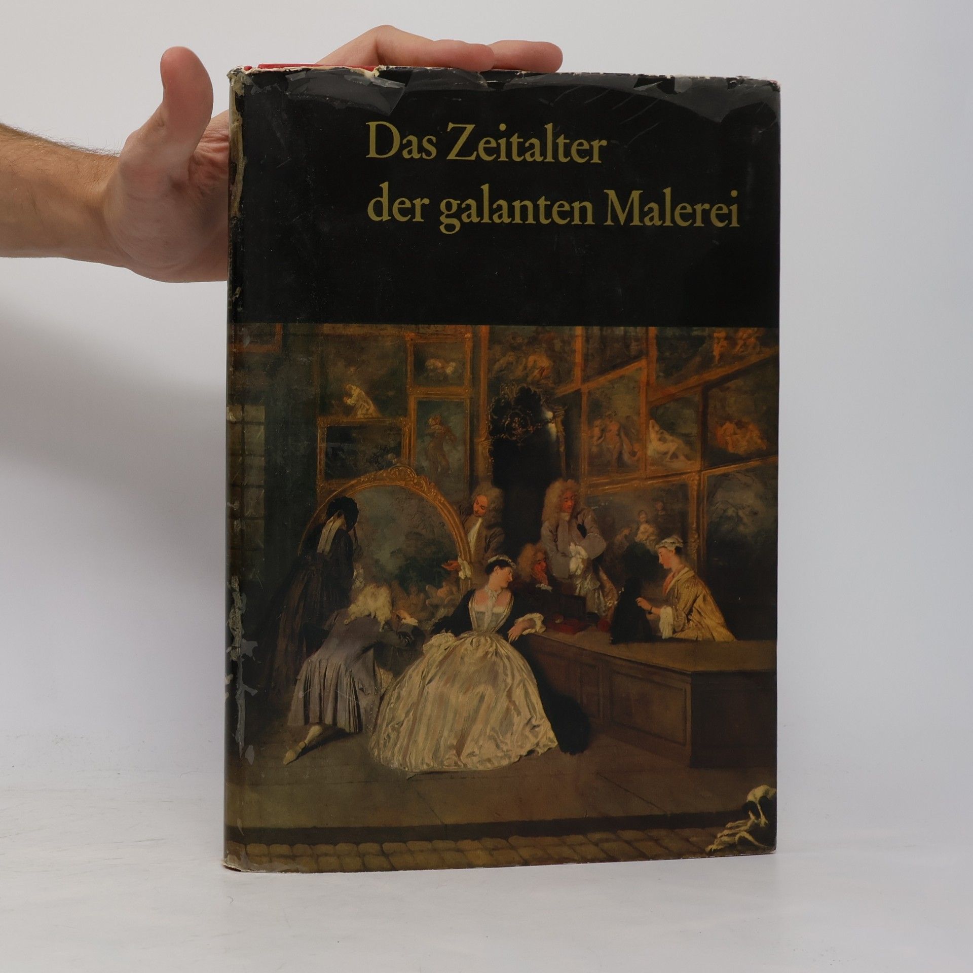 Michael Schwarz Das Zeitalter der galanten Malerei