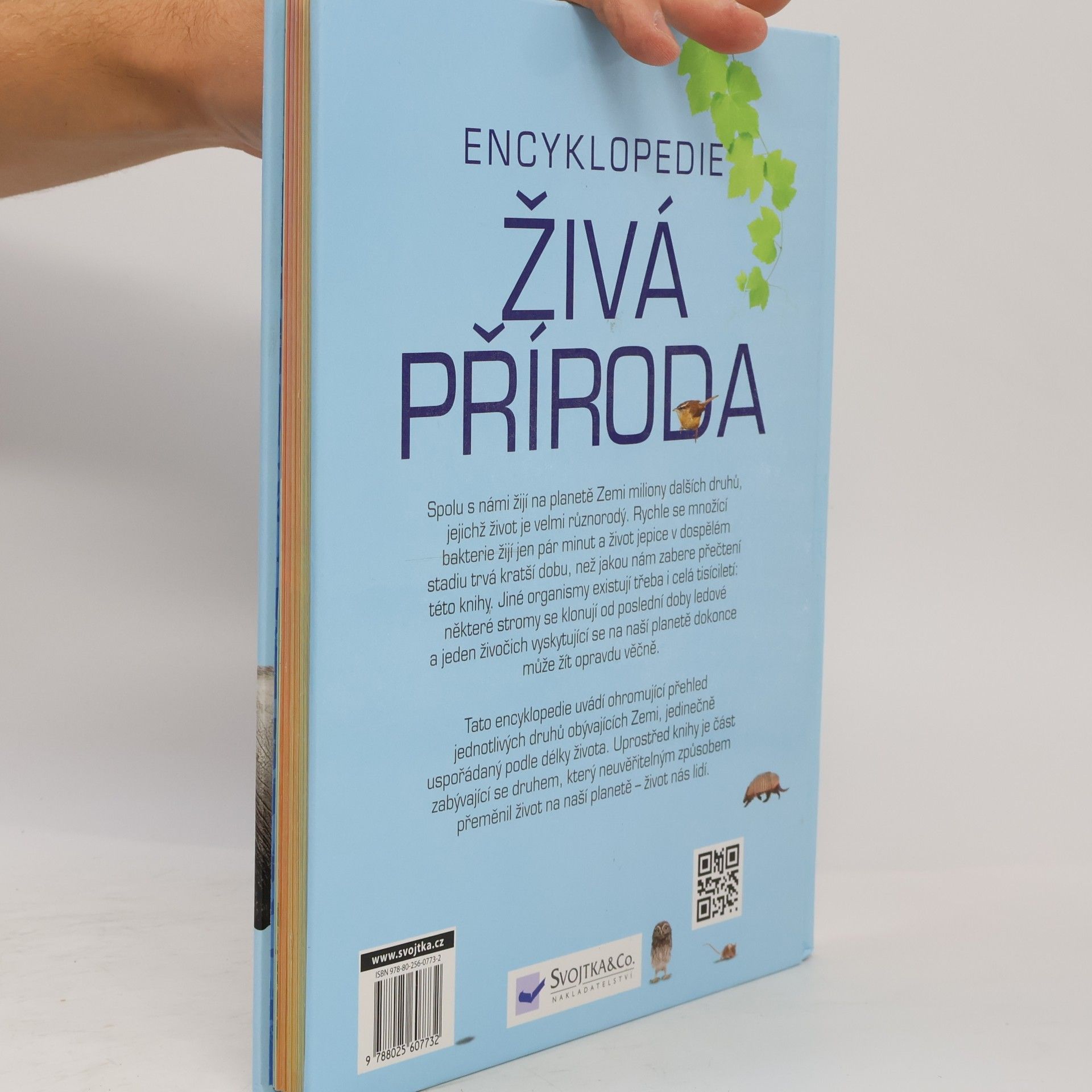 Autorenkollektiv Živá příroda - Encyklopedie