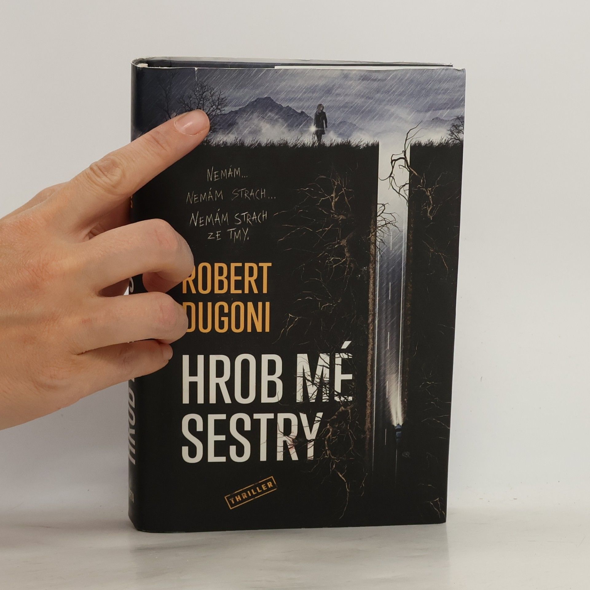 Robert Dugoni Hrob mé sestry