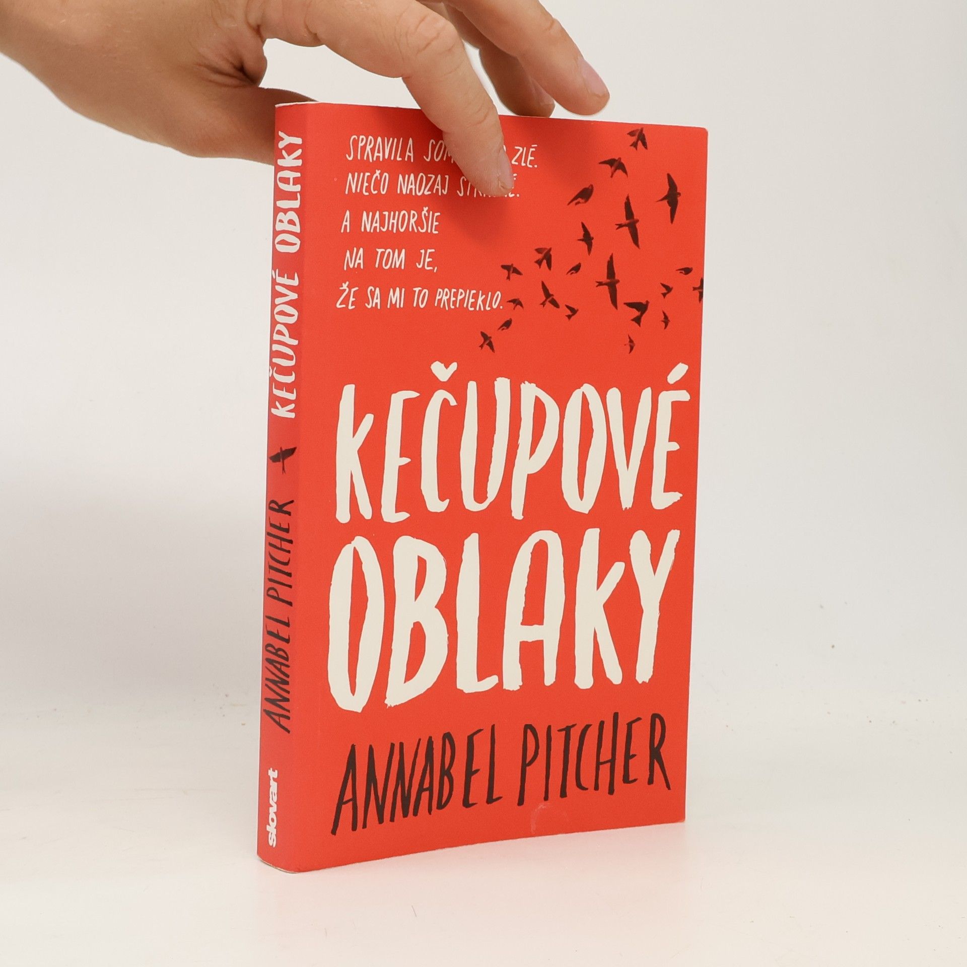 Annabel Pitcher Kečupové oblaky