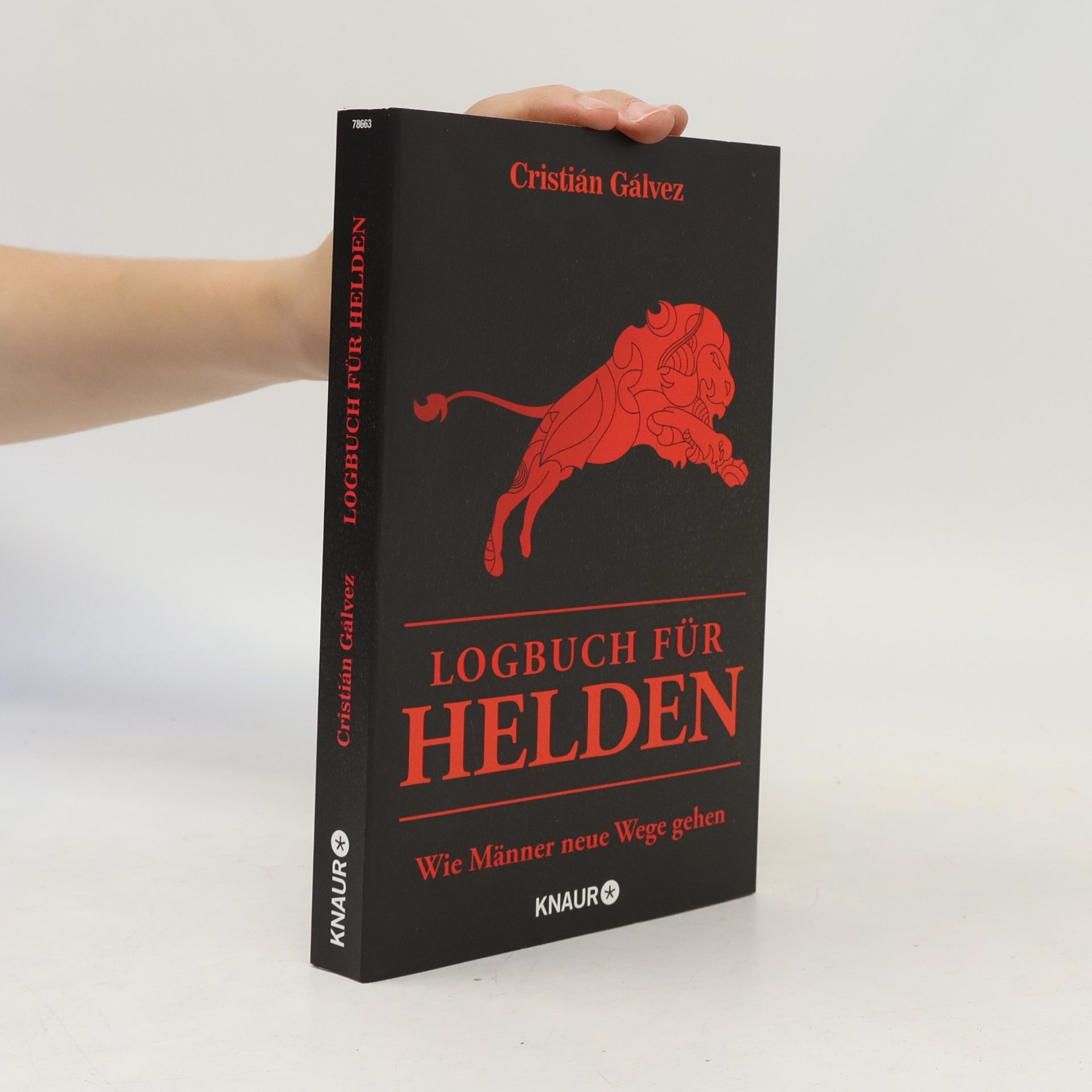 Christian Gálvez Logbuch für Helden