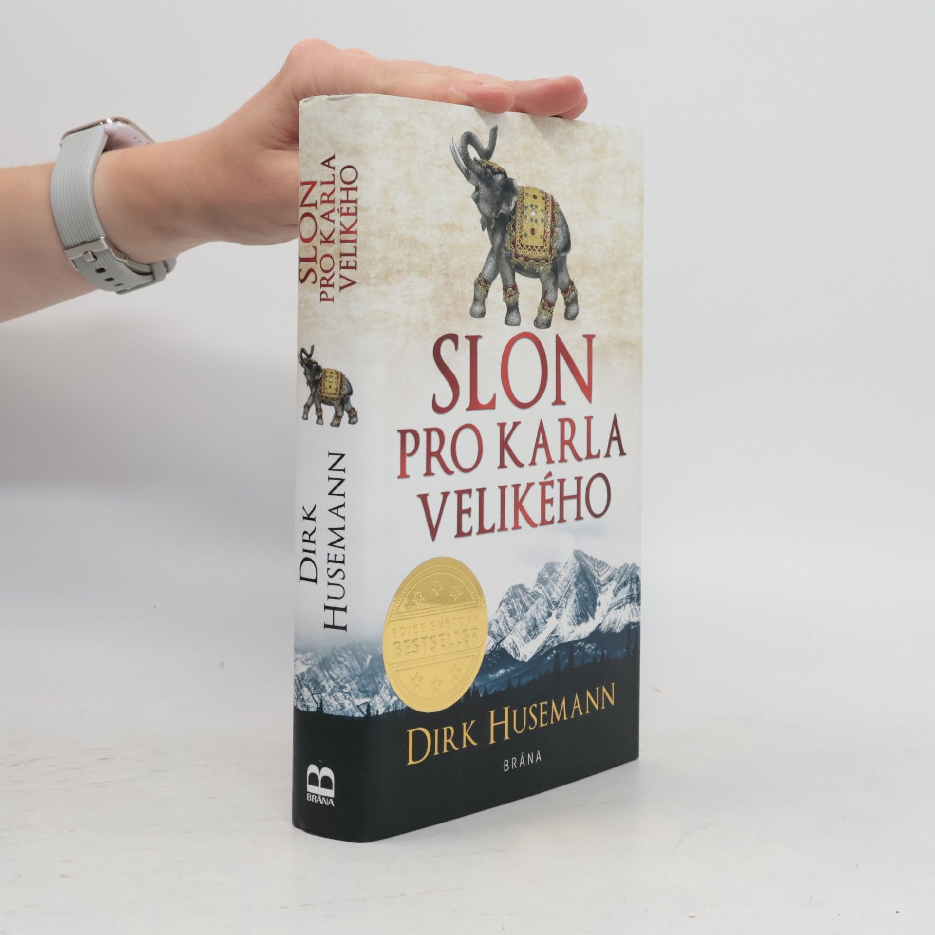 Dirk Husemann Slon pro Karla Velikého