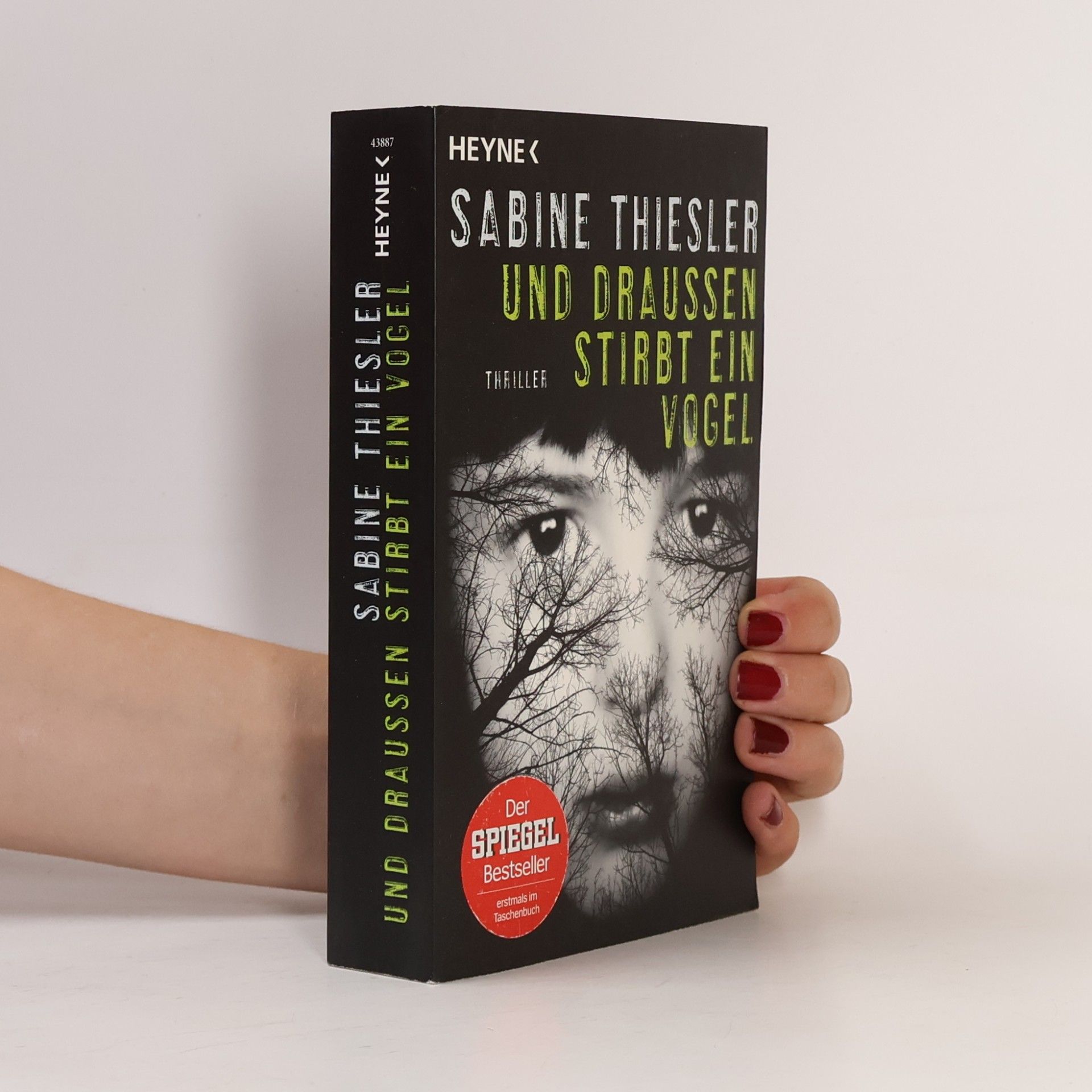 Sabine Thiesler Und draußen stirbt ein Vogel