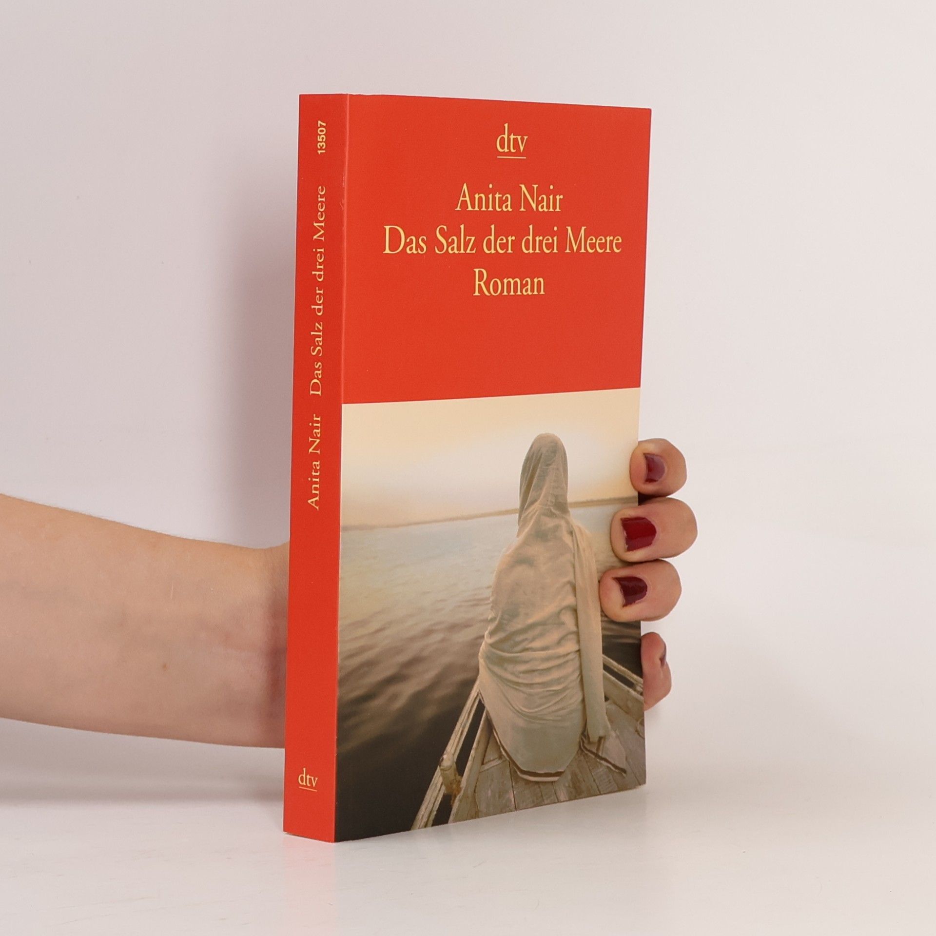 Anita Nair Das Salz der drei Meere