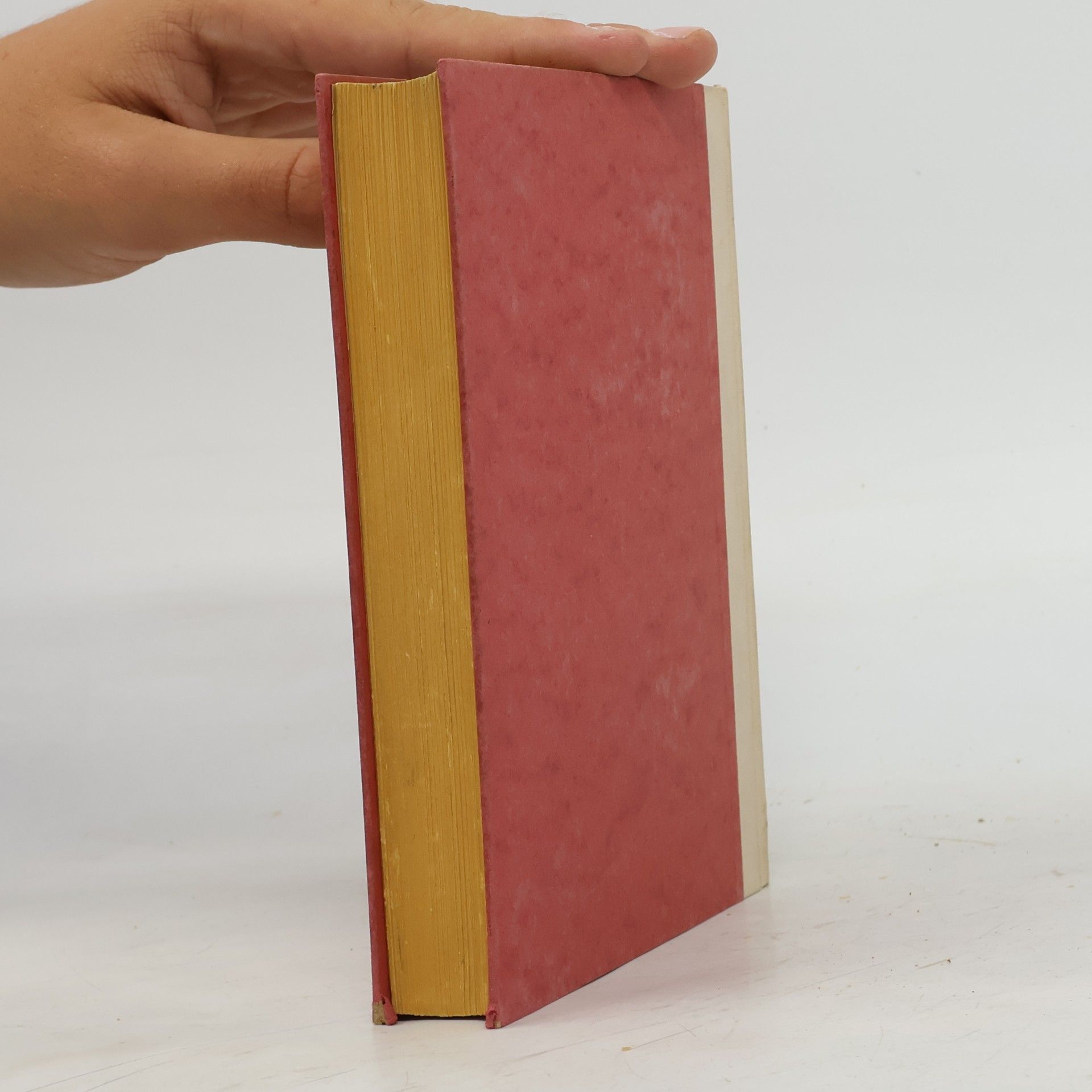 Arno Holz Buch der Zeit