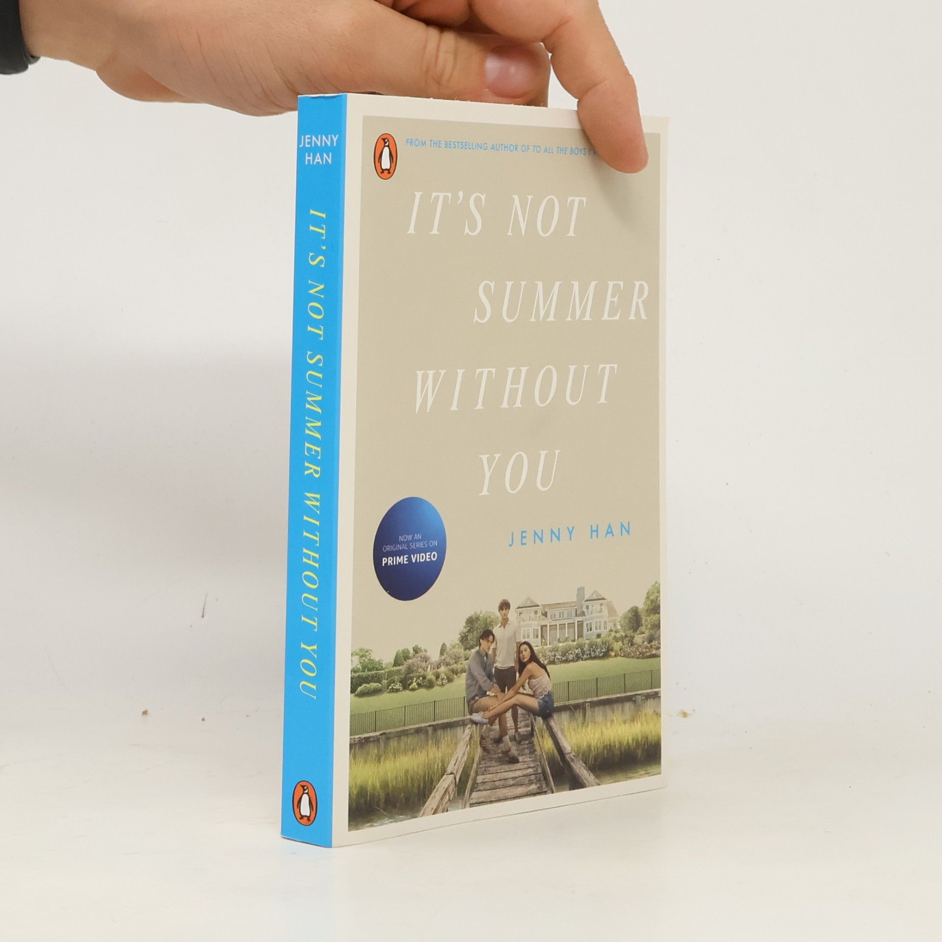 Jenny Han It's Not Summer Without You