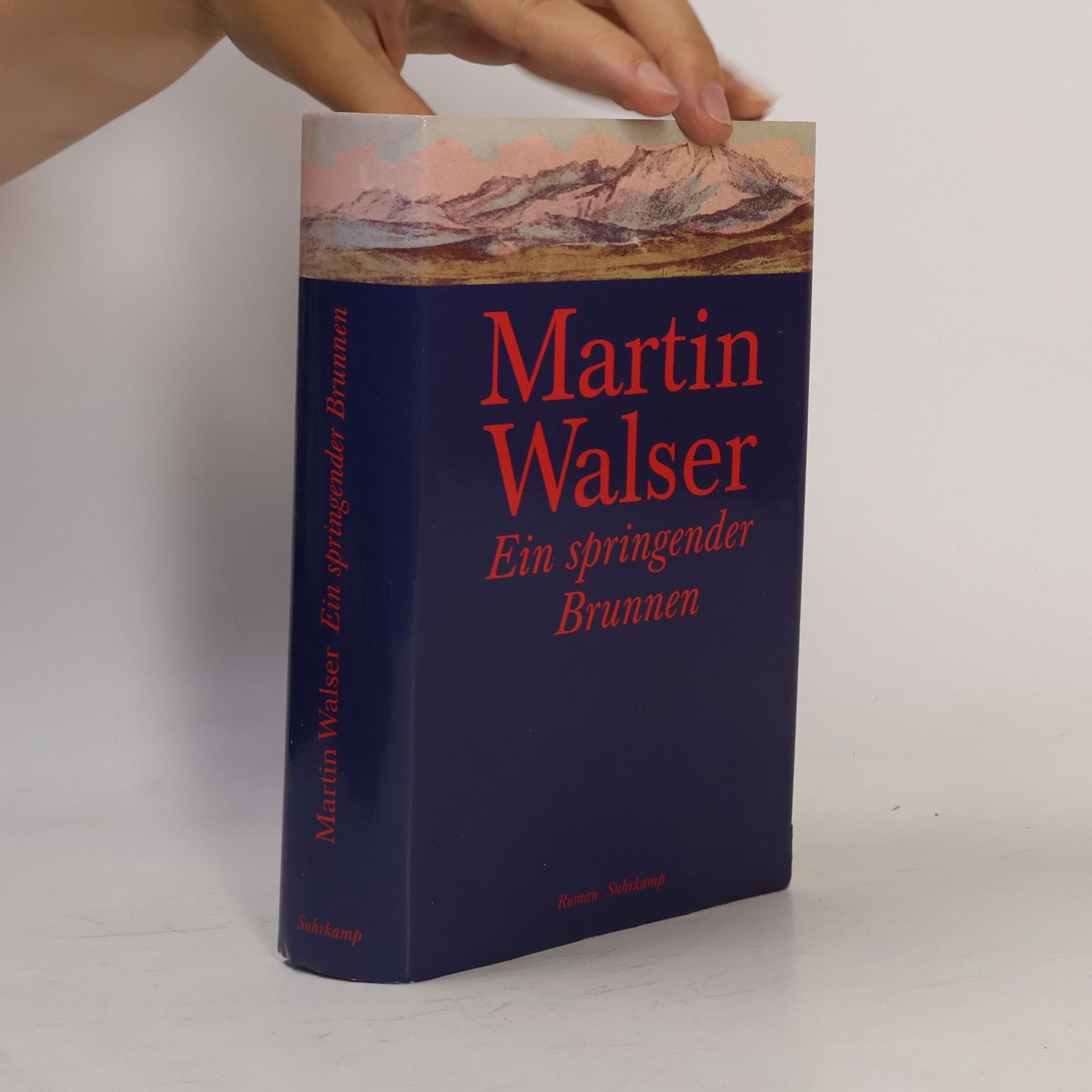 Martin Walser Ein springender Brunnen