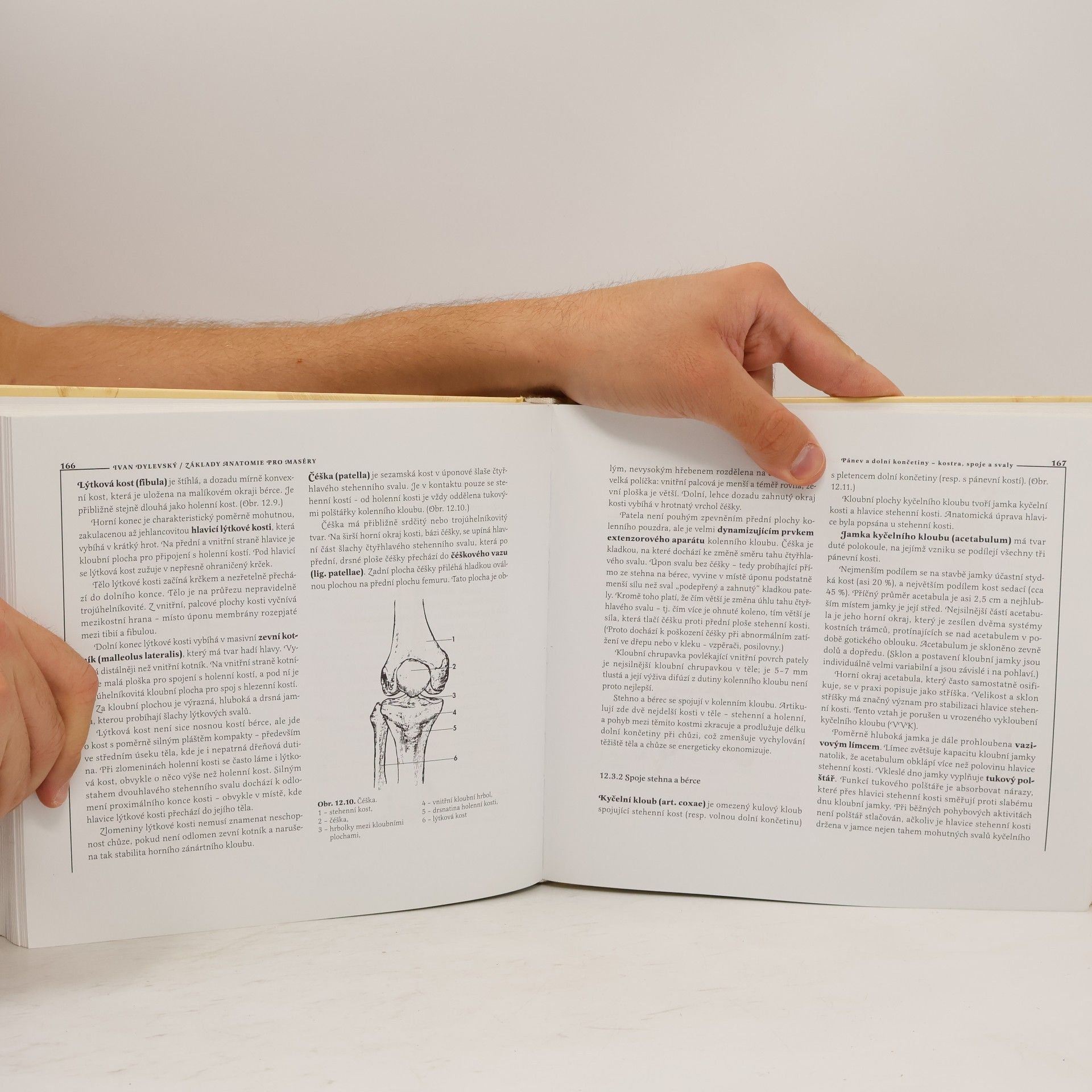Ivan Dylevský Základy anatomie