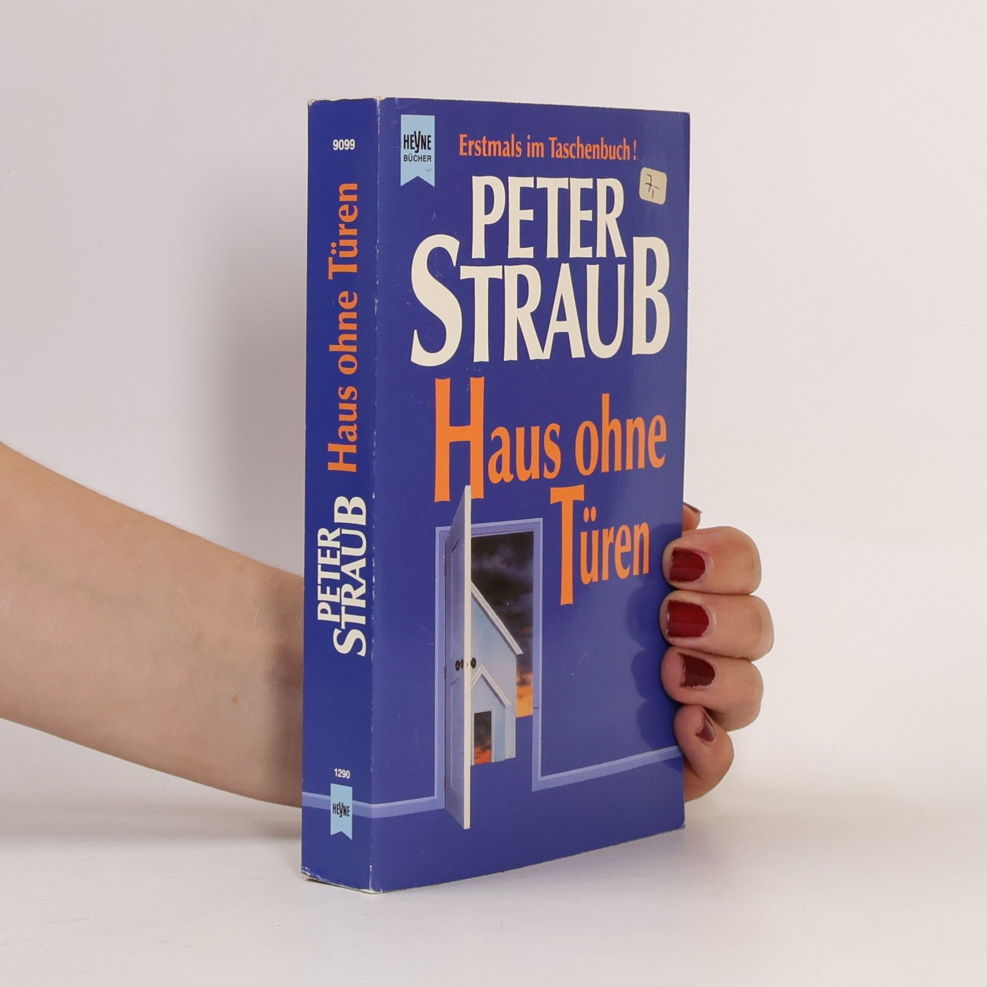 Peter Straub Haus ohne Türen.