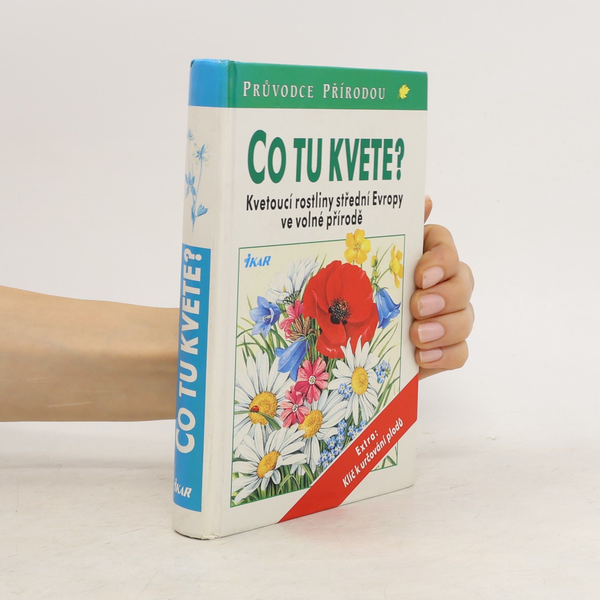 Dietmar Aichele Co tu kvete?