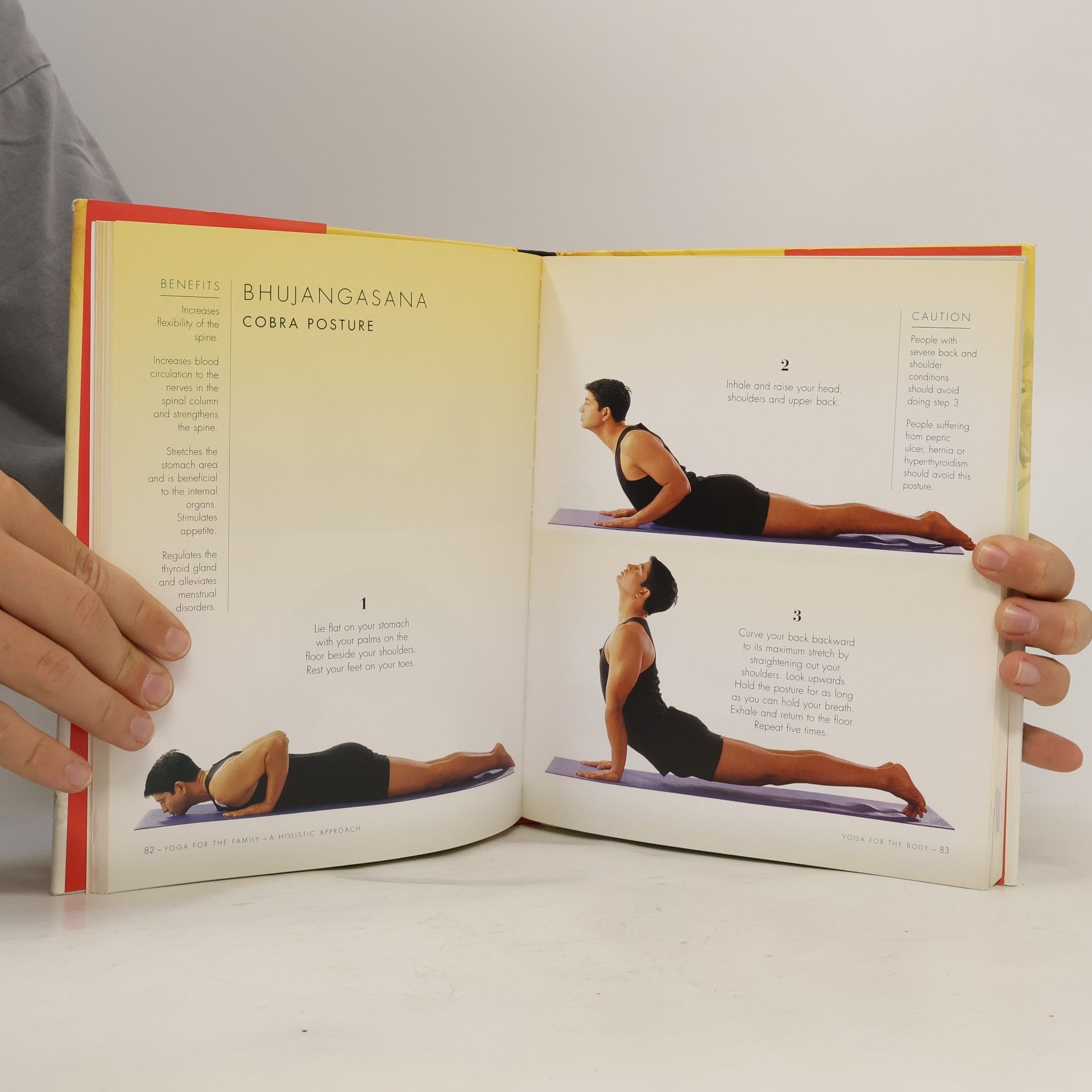 Bharat Thakur Yoga for the Family
