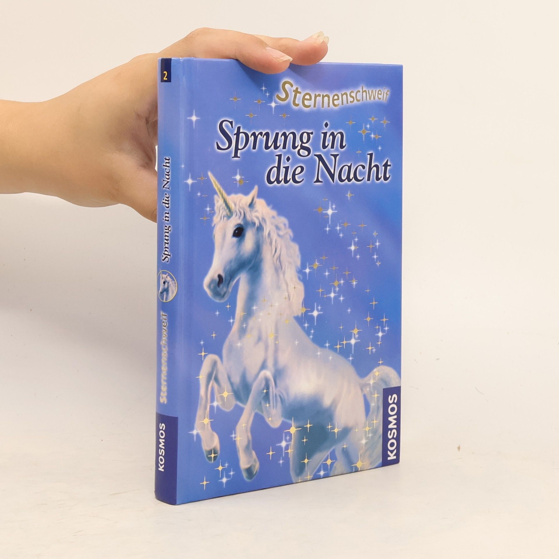 Linda Champan Sprung in die Nacht