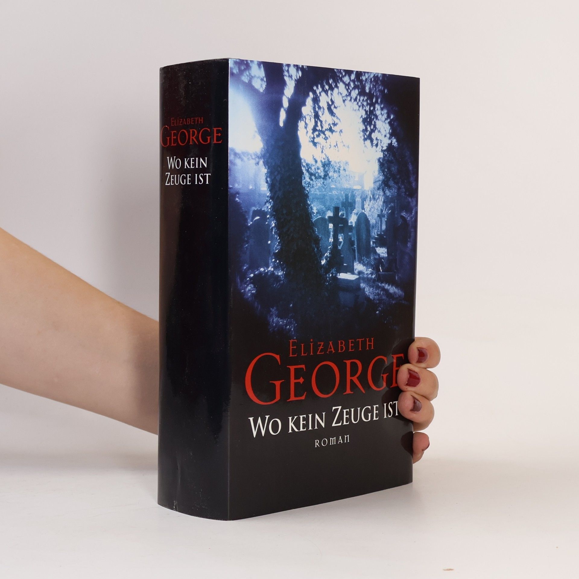 Elizabeth George Wo kein Zeuge ist