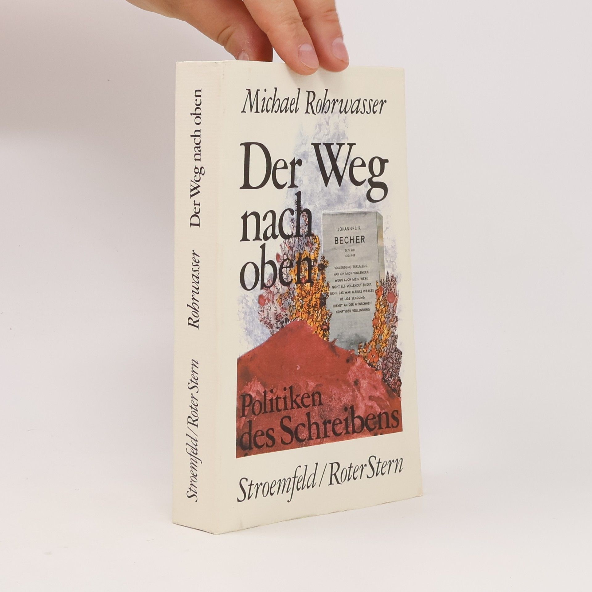 Michael Rohrwasser Der Weg nach oben