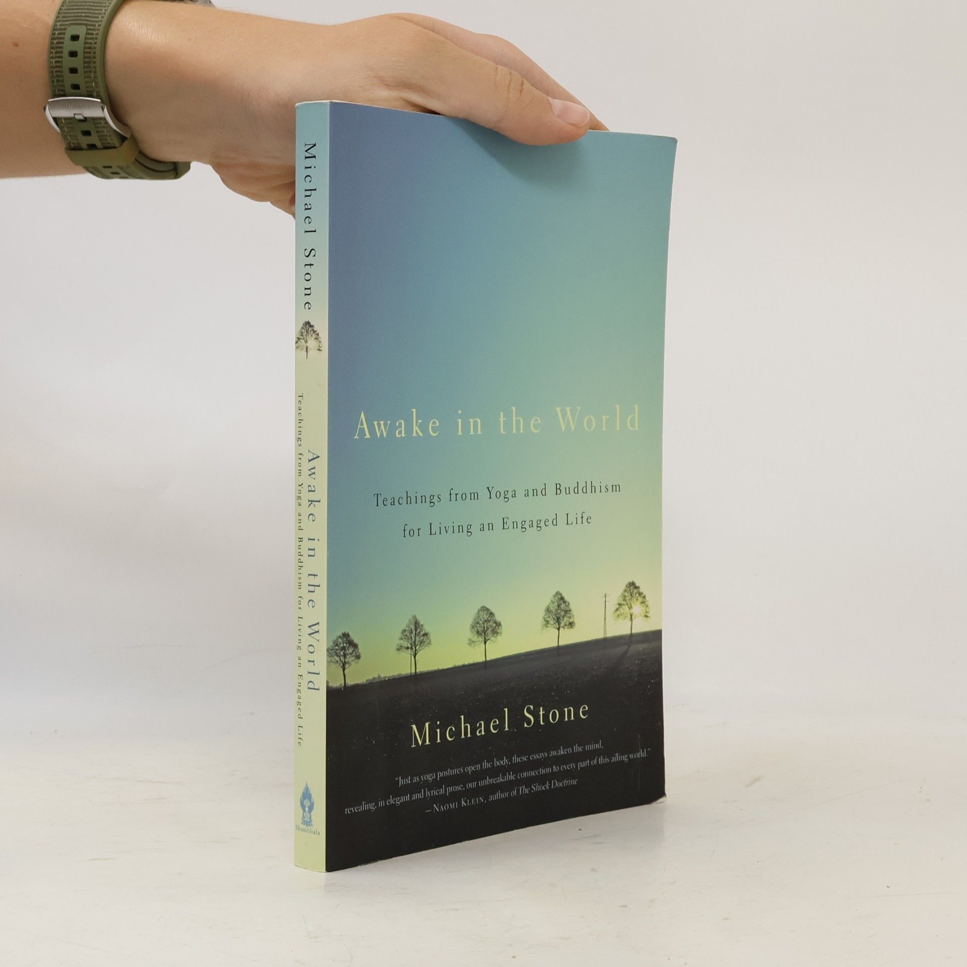 Michael Stone Awake in the World