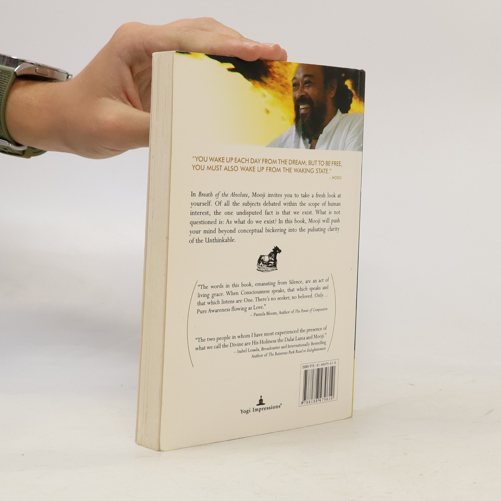 Autorenkollektiv Breath of the Absolute - Dialogues with Mooji