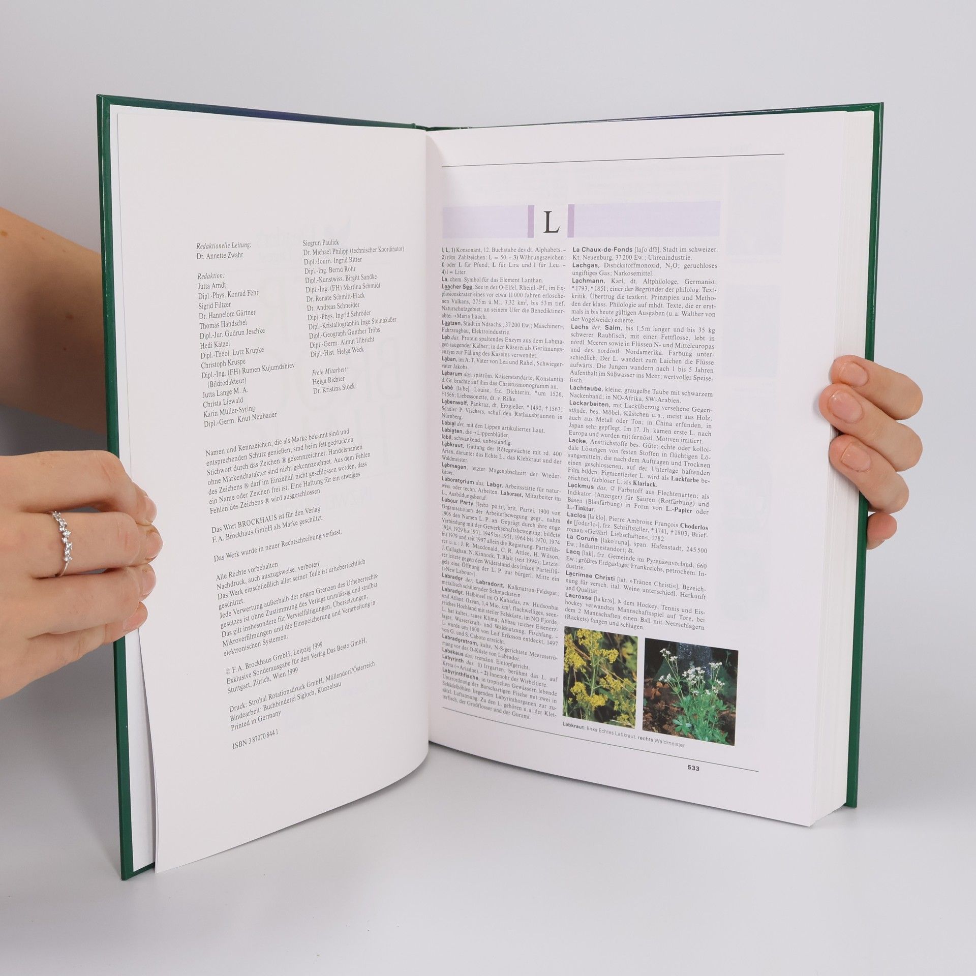 Kolektiv autorů Der Brockhaus in zwei Bänden. A-K + L-Z. (2 Bände)
