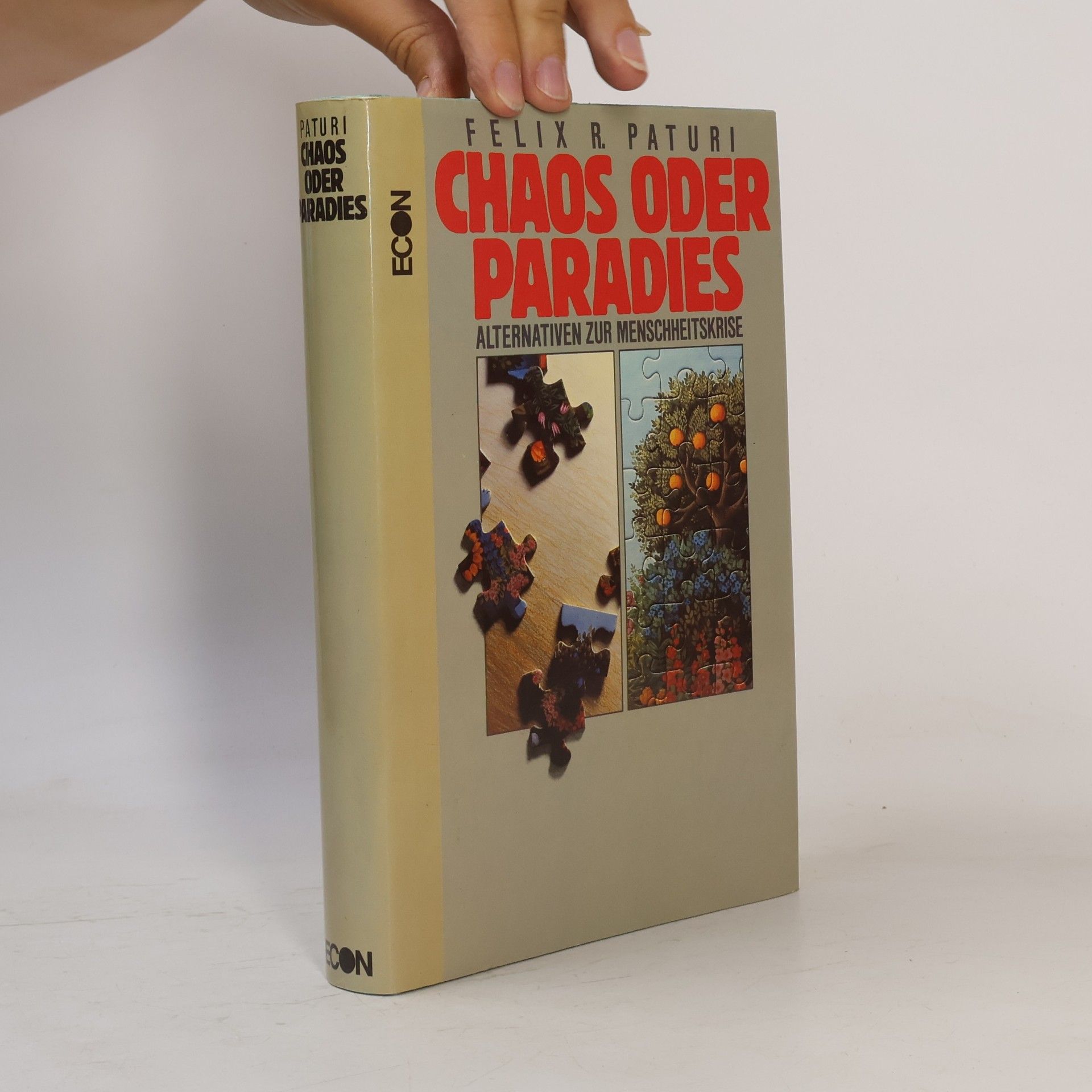 Felix R. Mindt Chaos oder Paradies