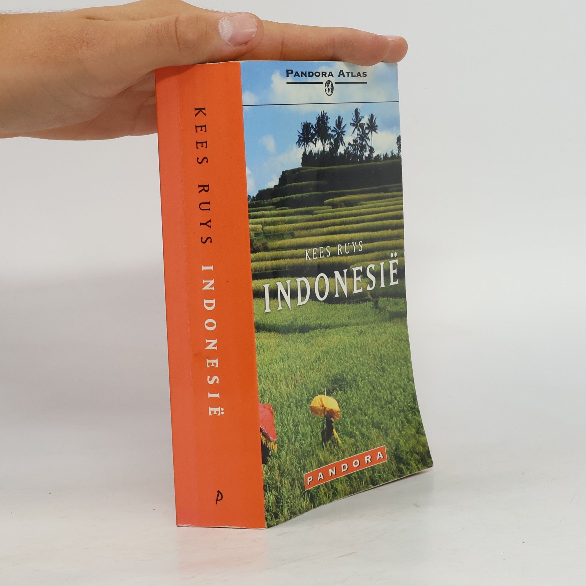 Kees Ruys Indonesië