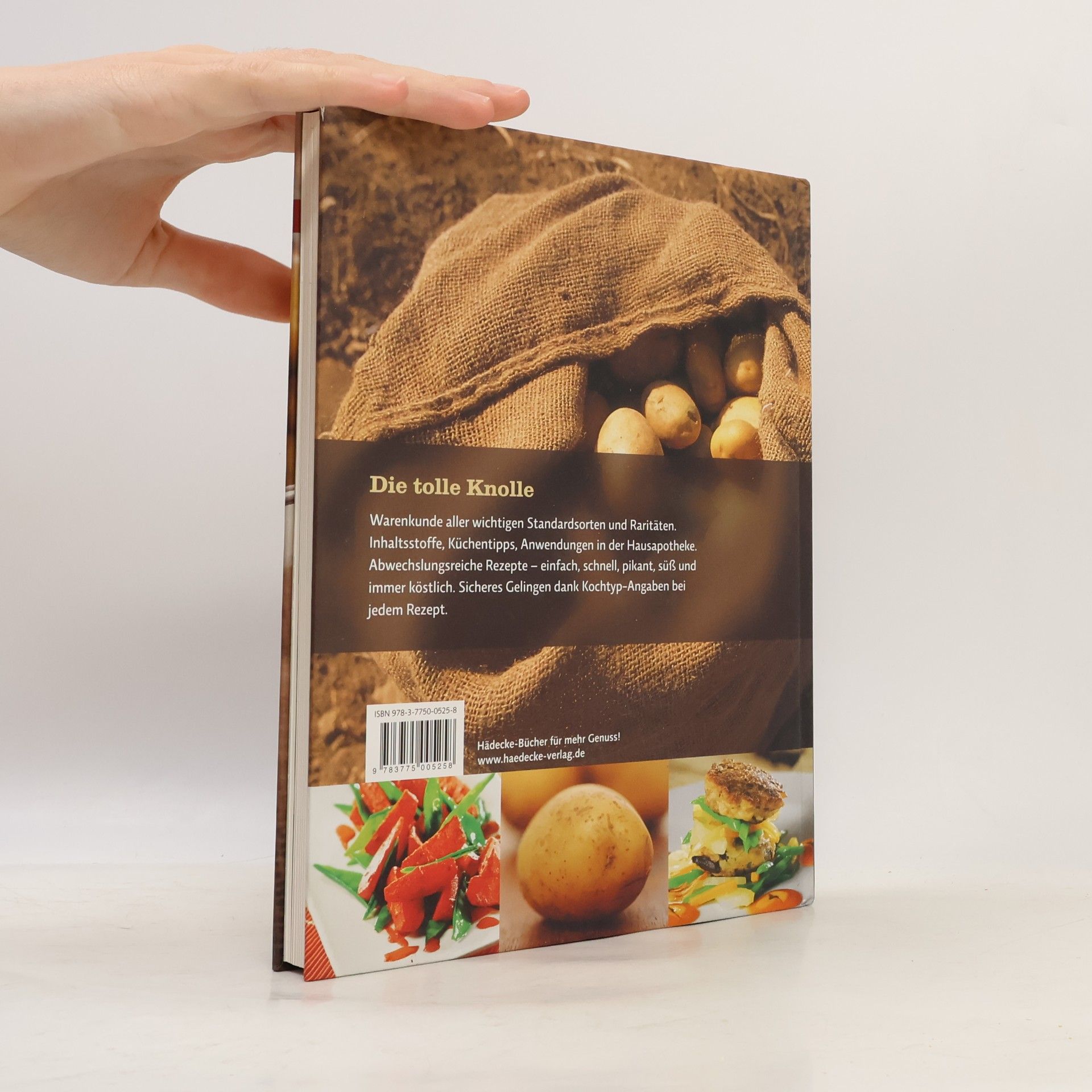 Lucas Rosenblatt Das goldene Buch der Kartoffel