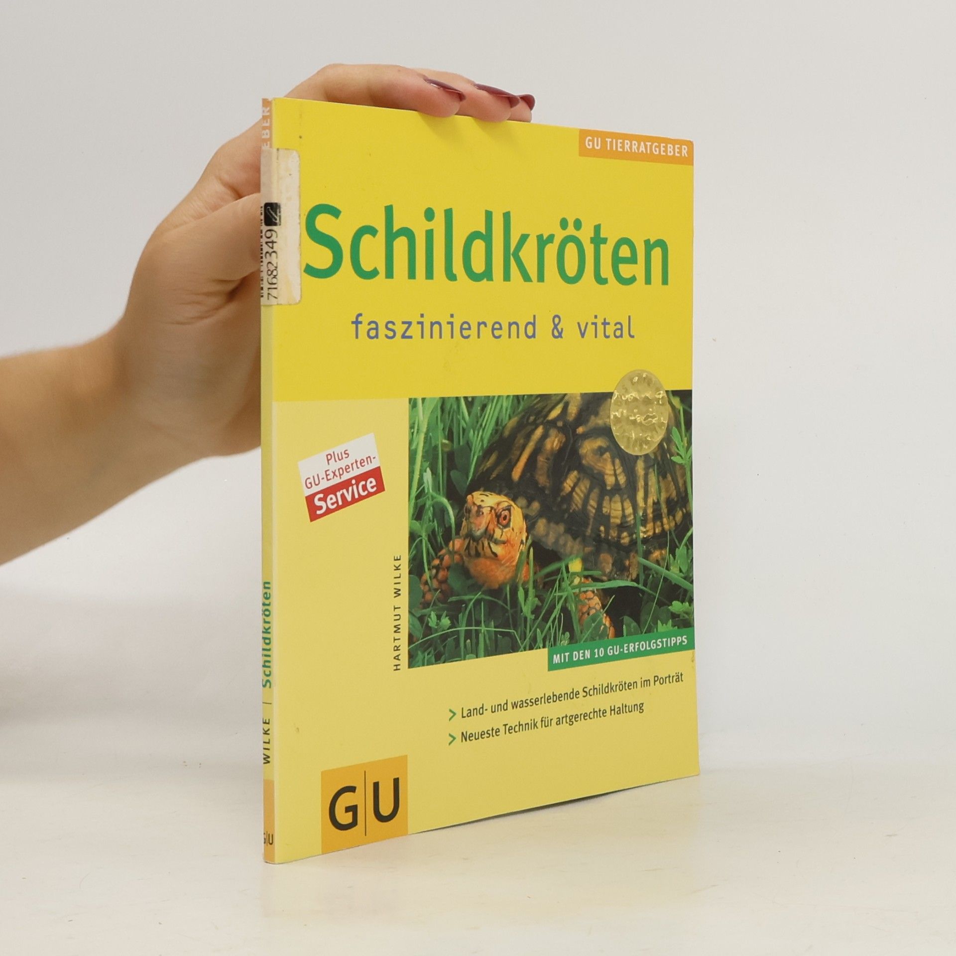 Hartmut Wilke Schildkröten