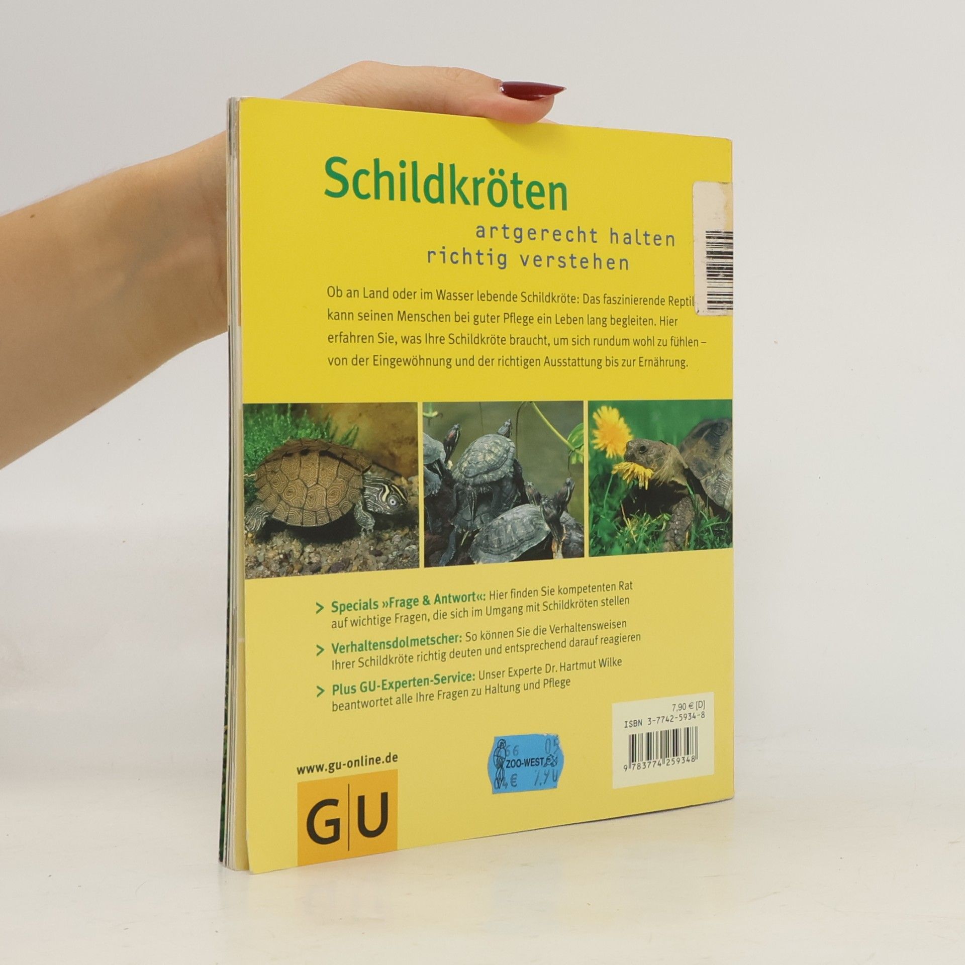 Hartmut Wilke Schildkröten