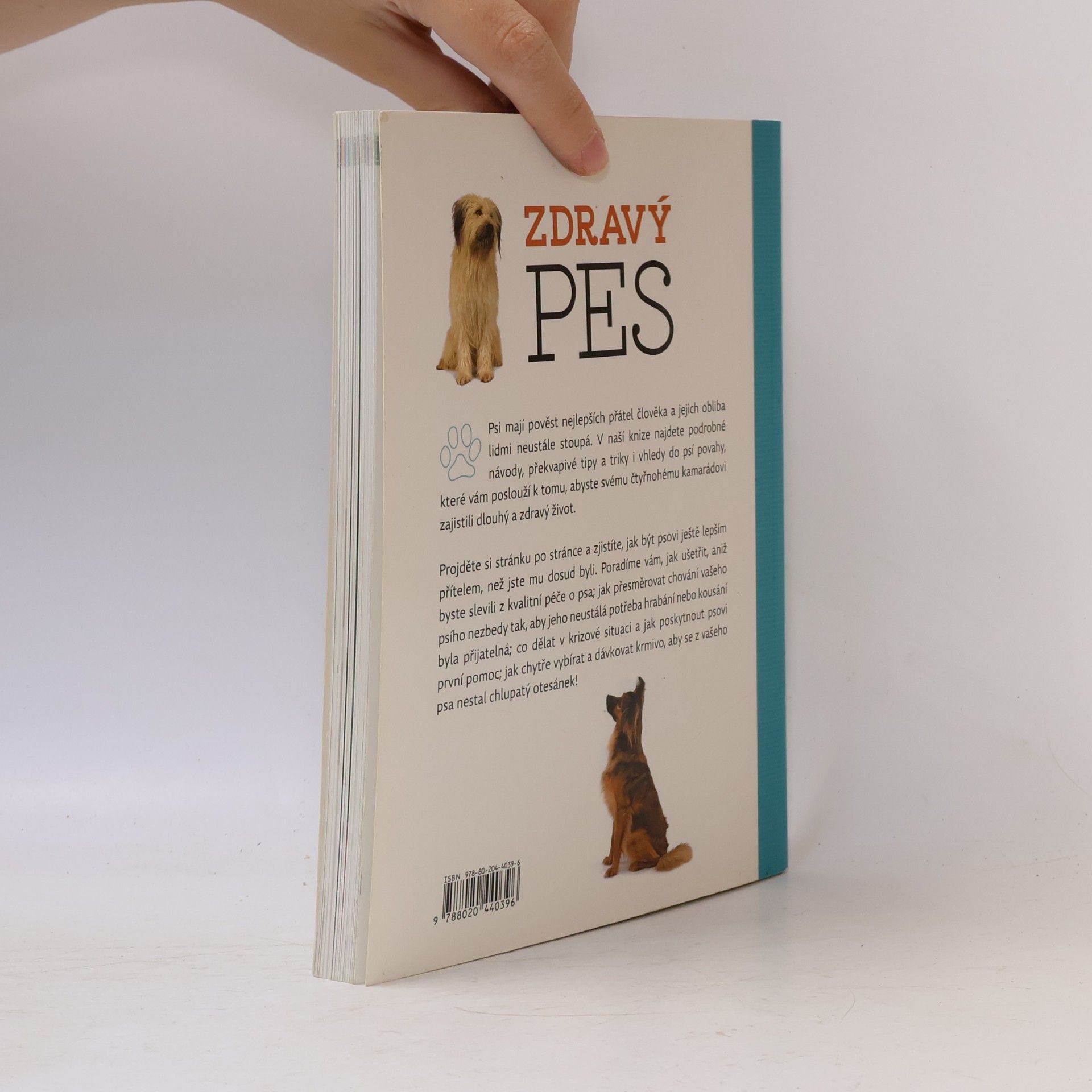 Arden Moore Zdravý pes: Tipy & triky jak zajistit vašemu psovi delší, zdravější a šťastnější život