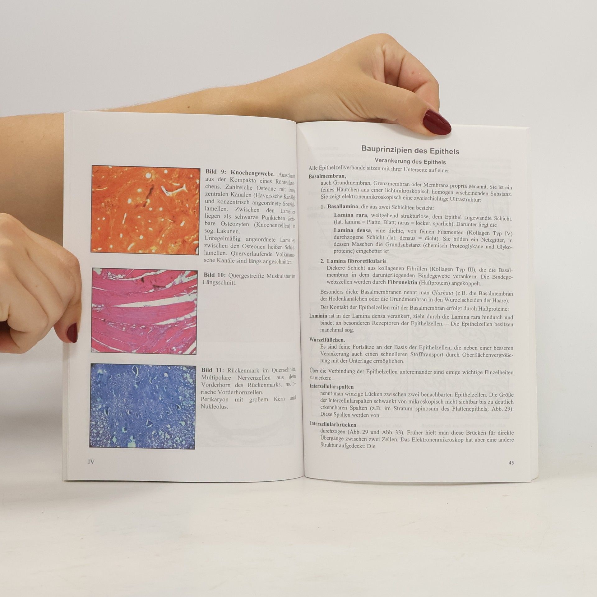Werner Tackmann Auxilium Repetitorium - 1: Repetitorium der Histologie