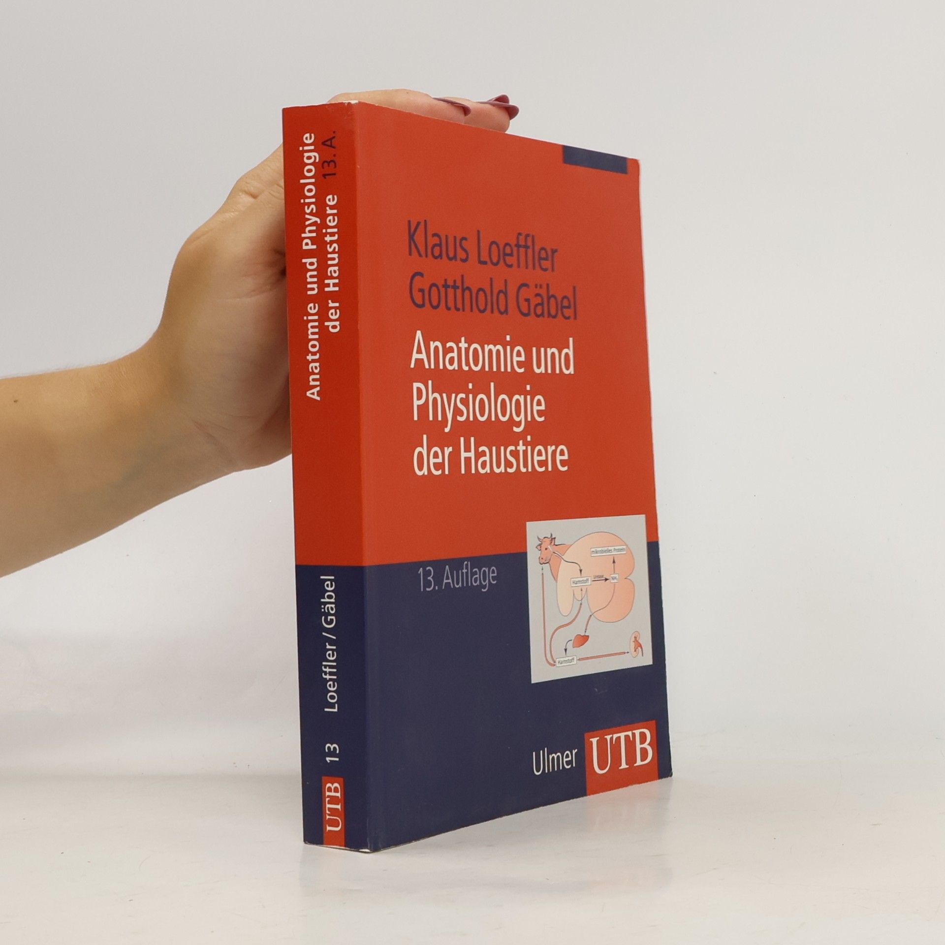 Gotthold Gäbel UTB: Anatomie und Physiologie der Haustiere - 13. Auflage
