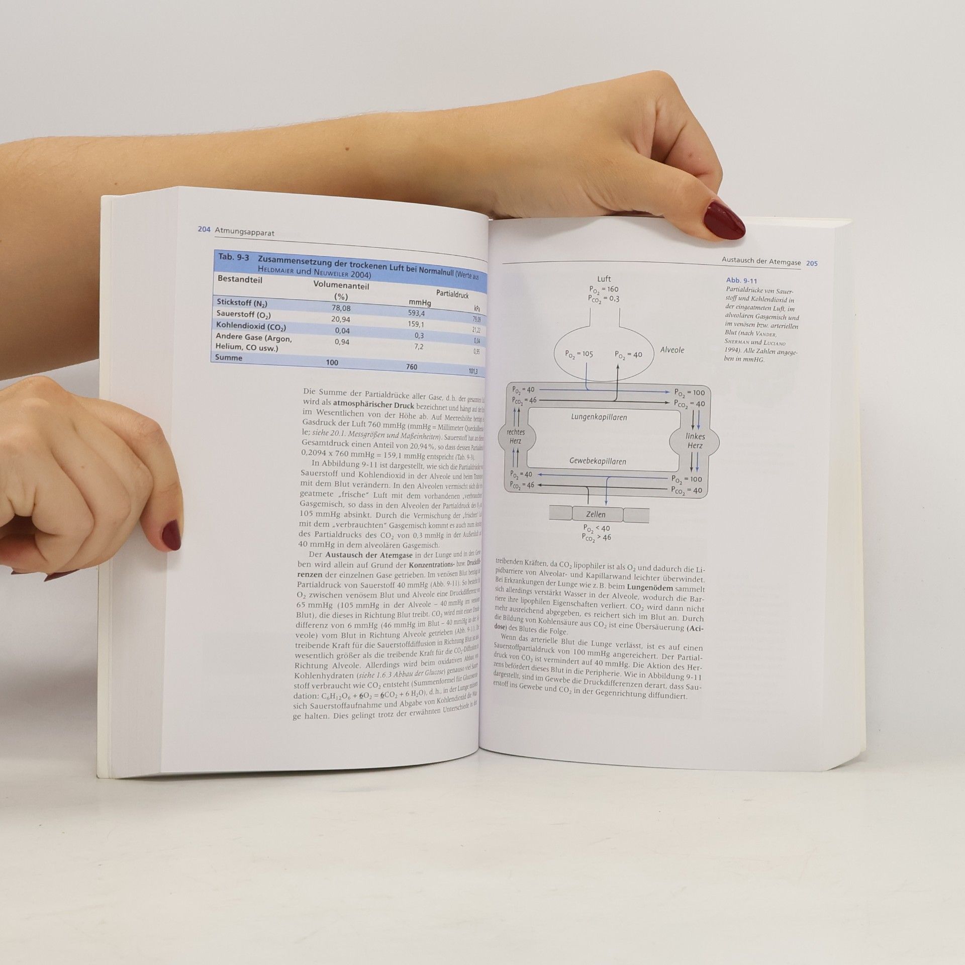 Klaus Loeffler UTB: Anatomie und Physiologie der Haustiere - 13. Auflage