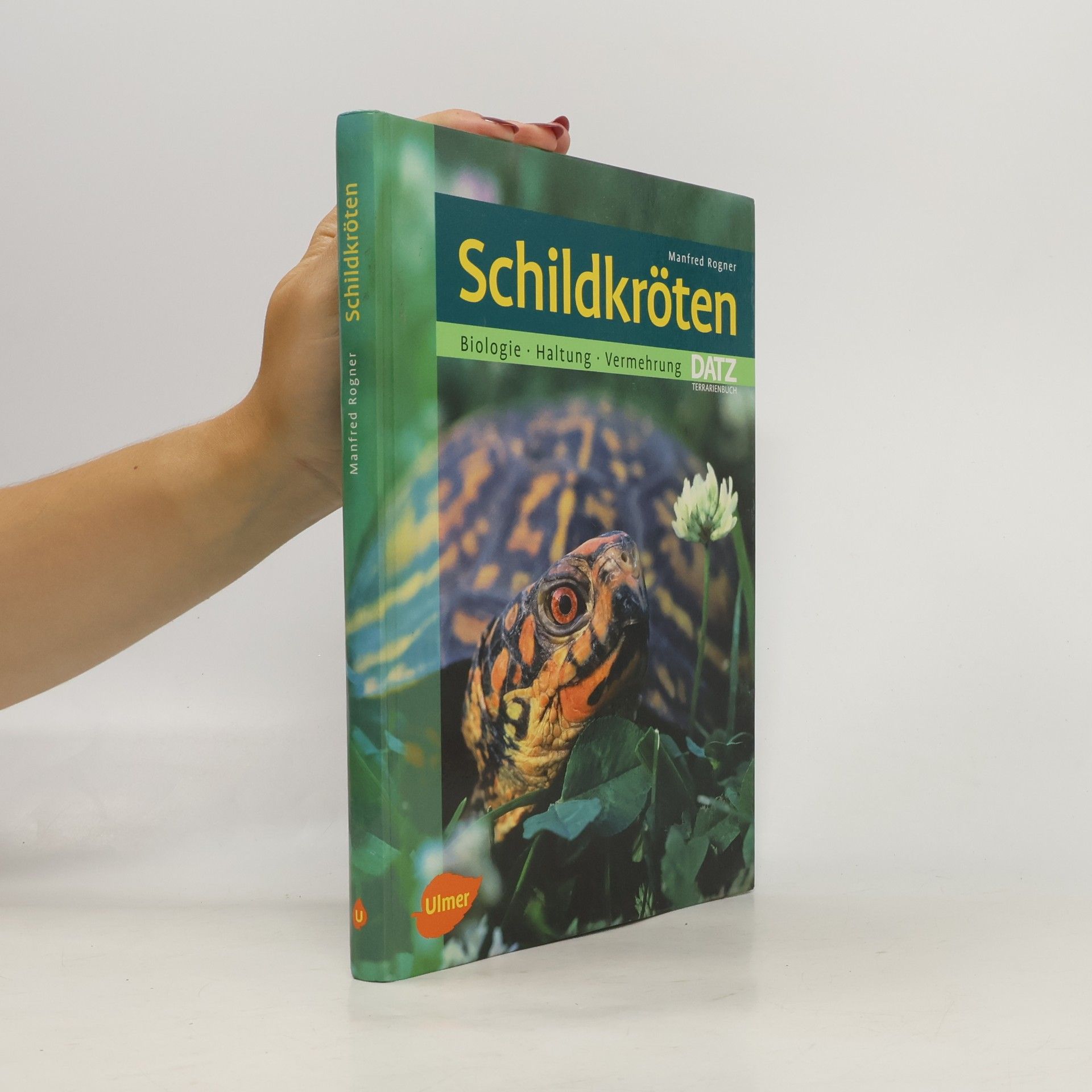 Schildkröten