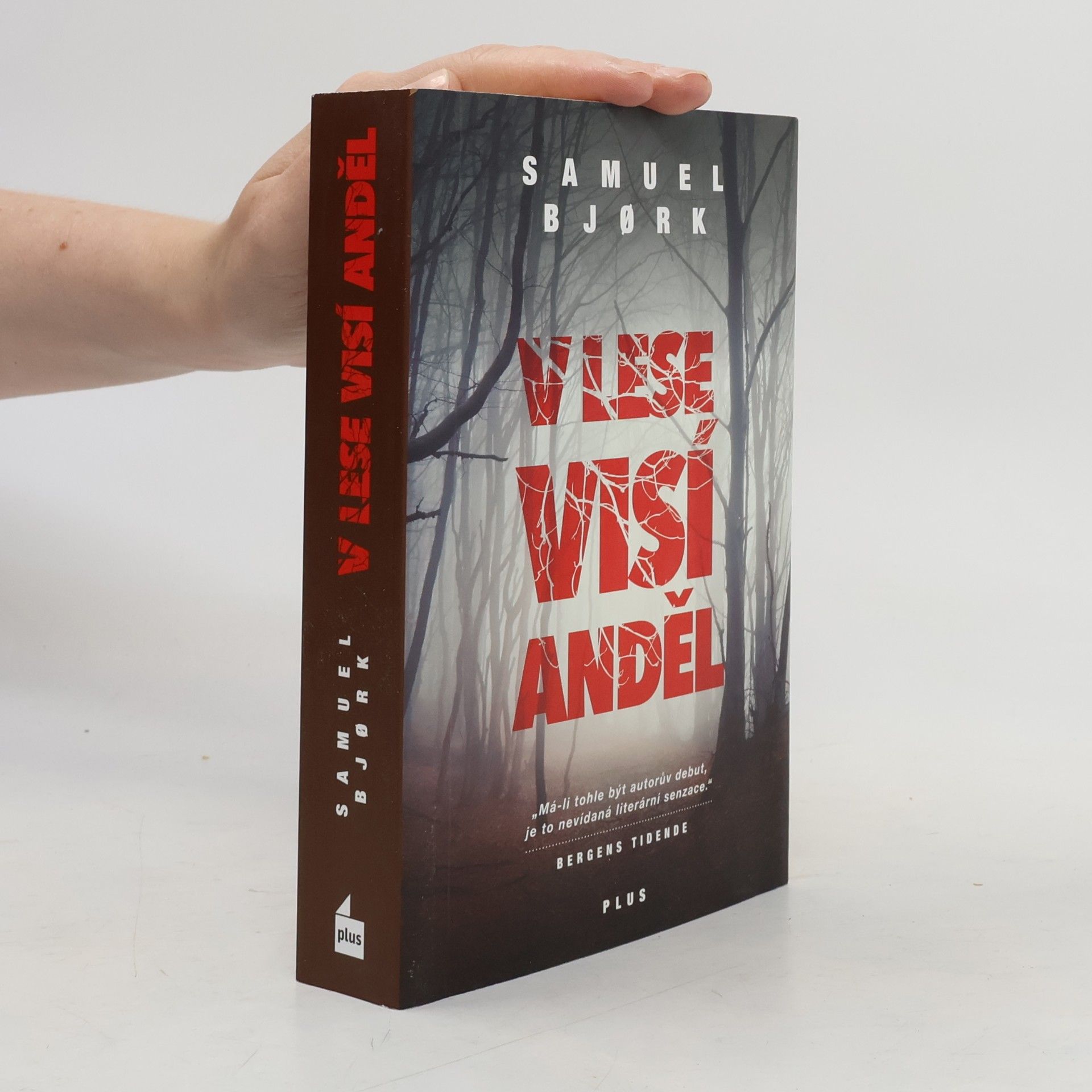 Samuel Bjork V lese visí anděl