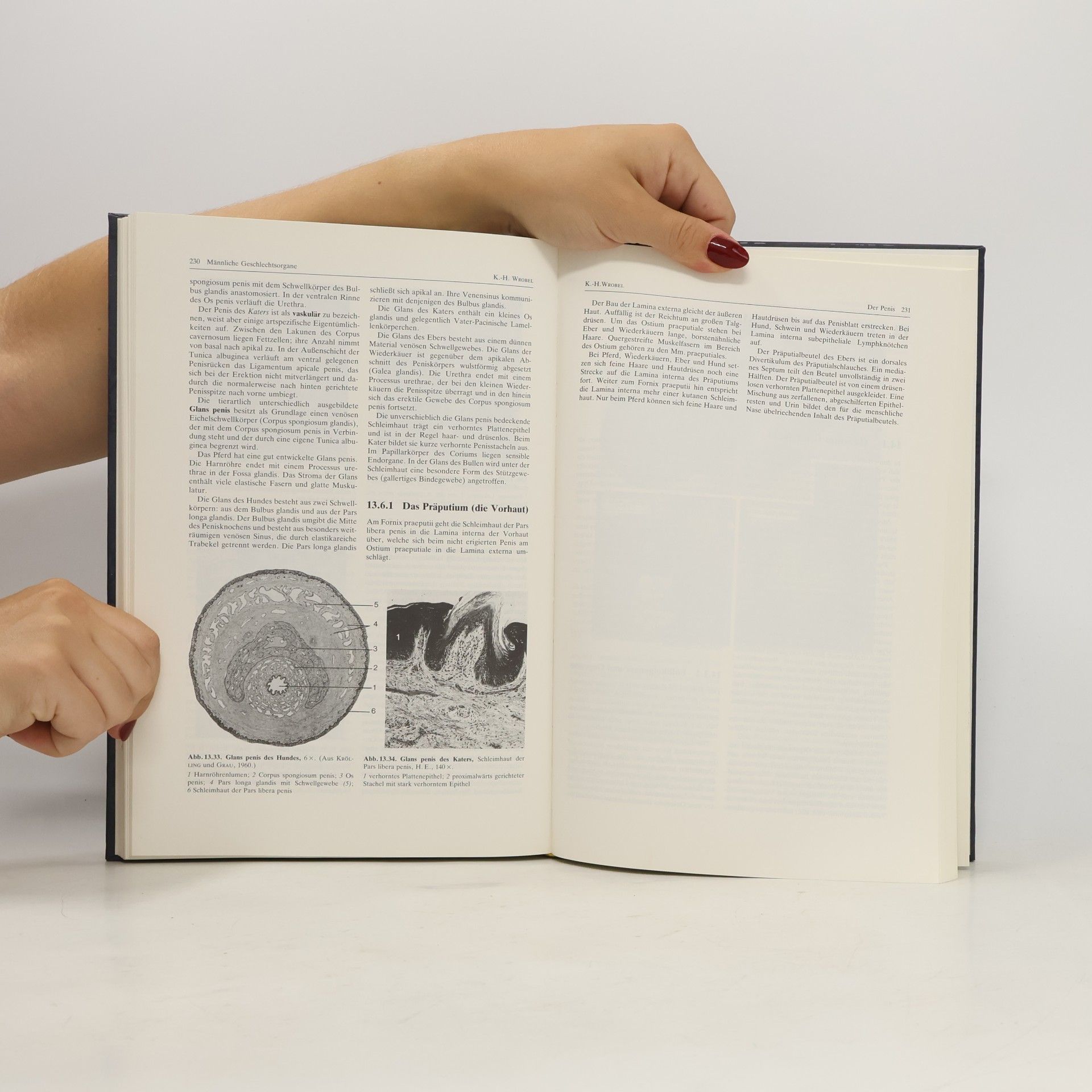 Willy Mosimann Zytologie, Histologie und mikroskopische Anatomie der Haussäugetiere