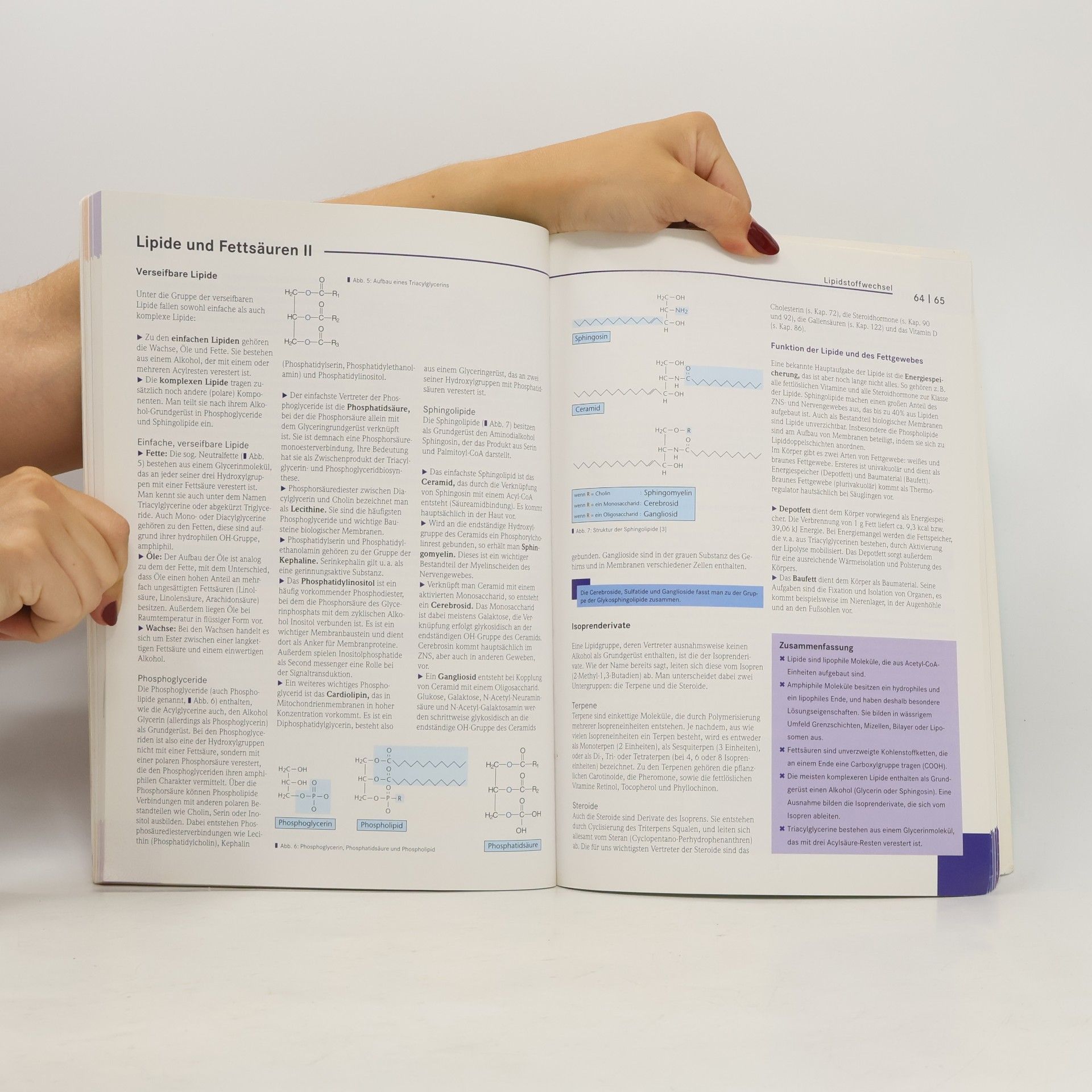 Julia Mühlhäußer Basics Biochemie