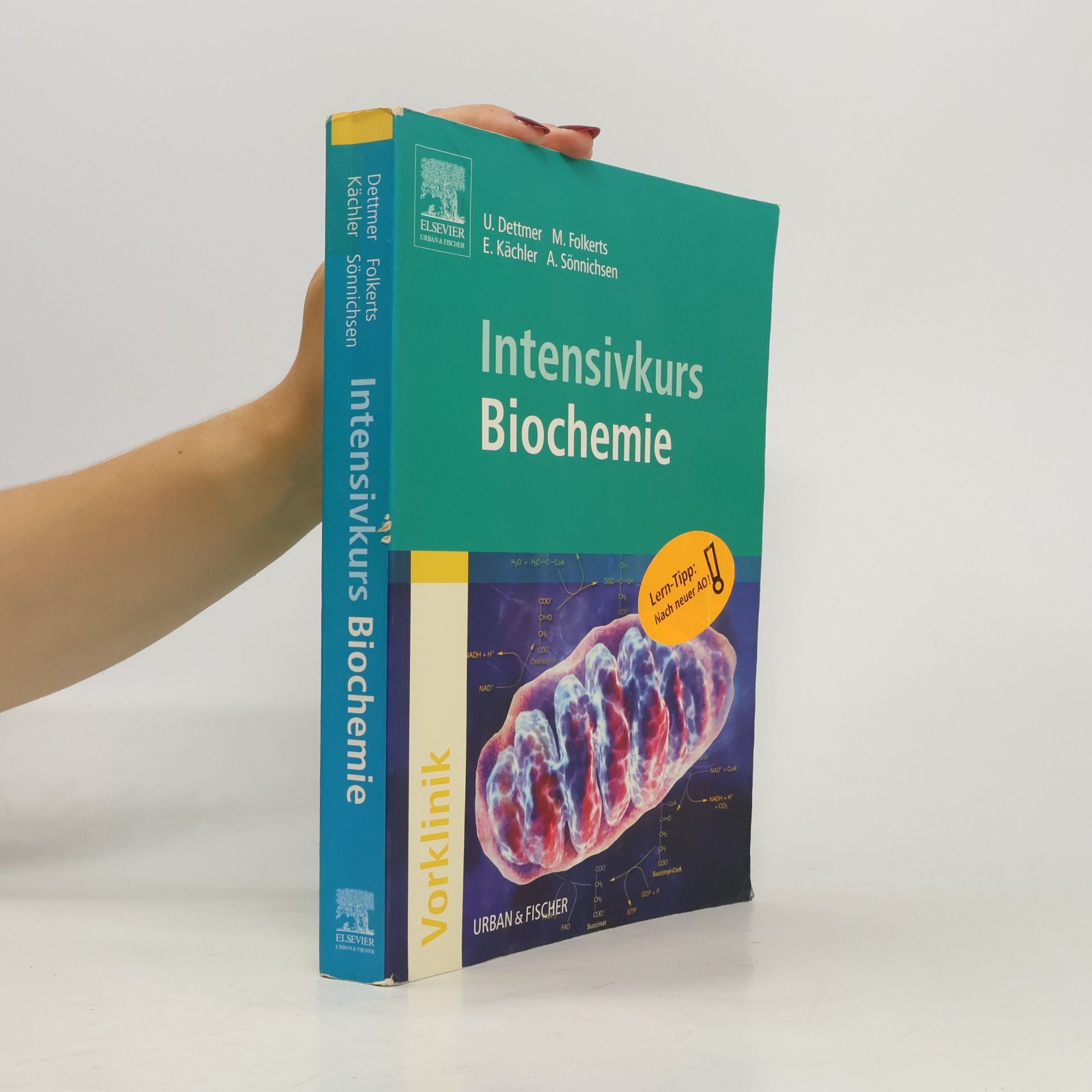 Intensivkurs Biochemie